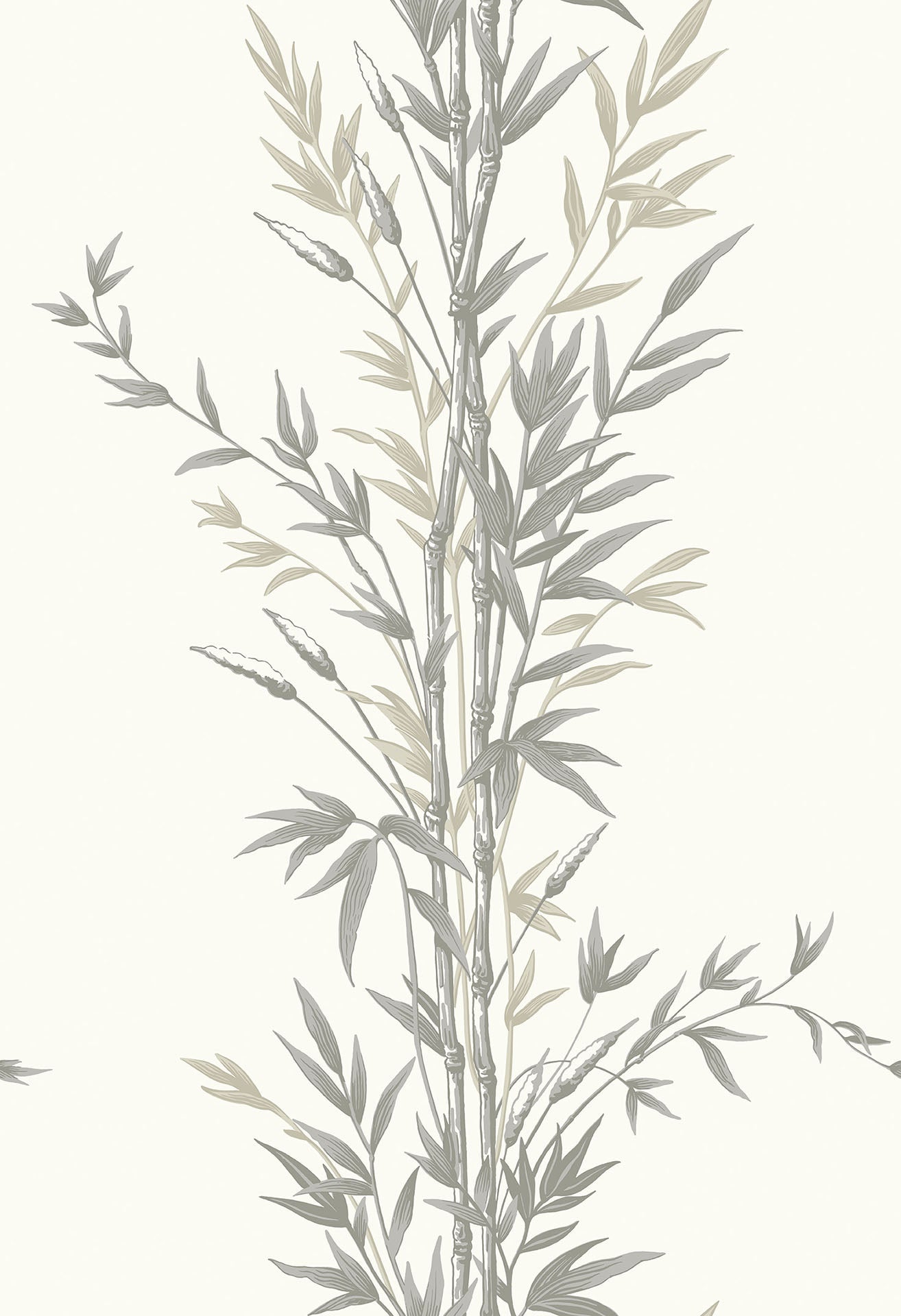 Cole & Son Bamboo - Taupe on White