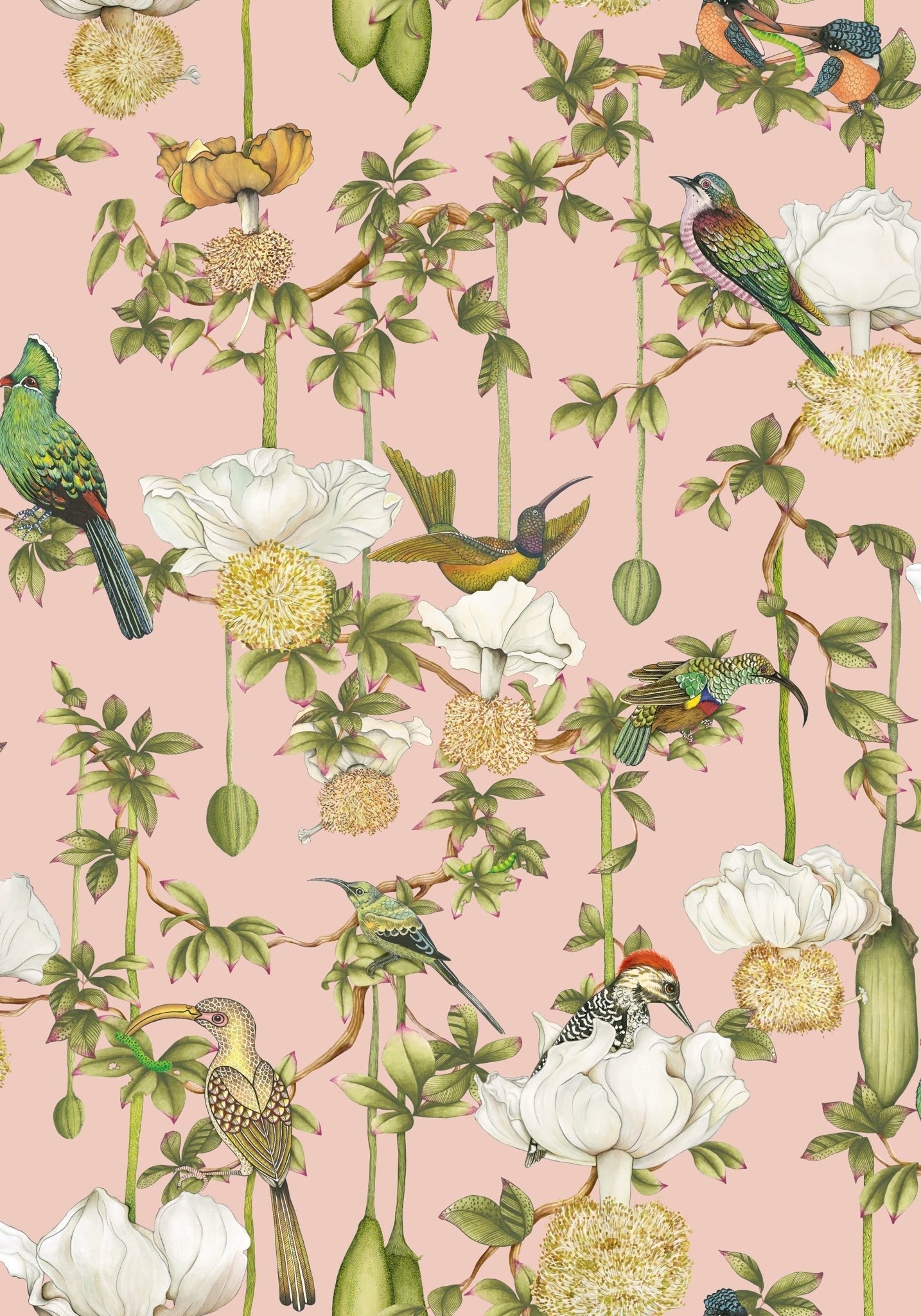 Cole & Son Baobab Botanica - Blush