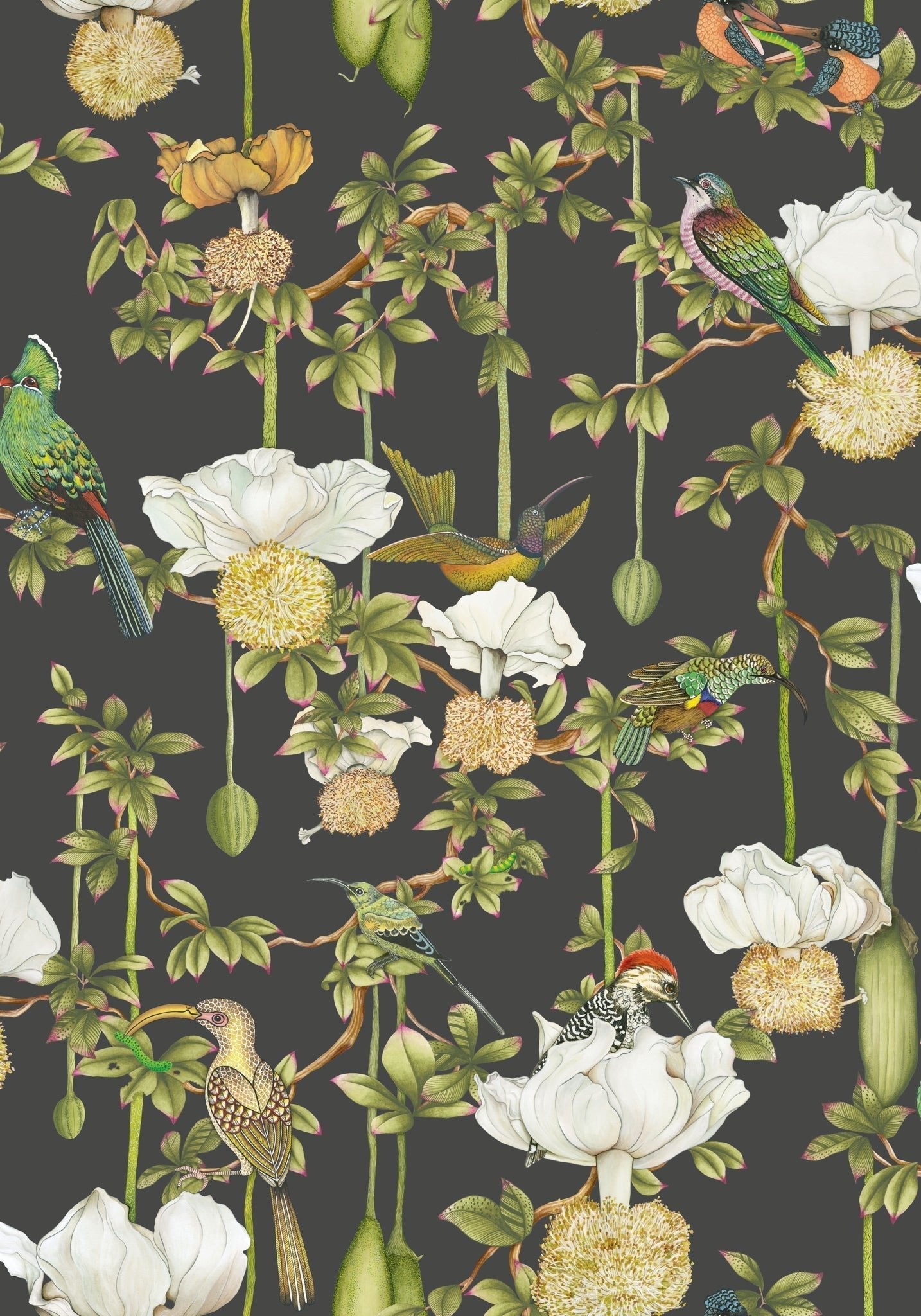 Cole & Son Baobab Botanica - Onyx