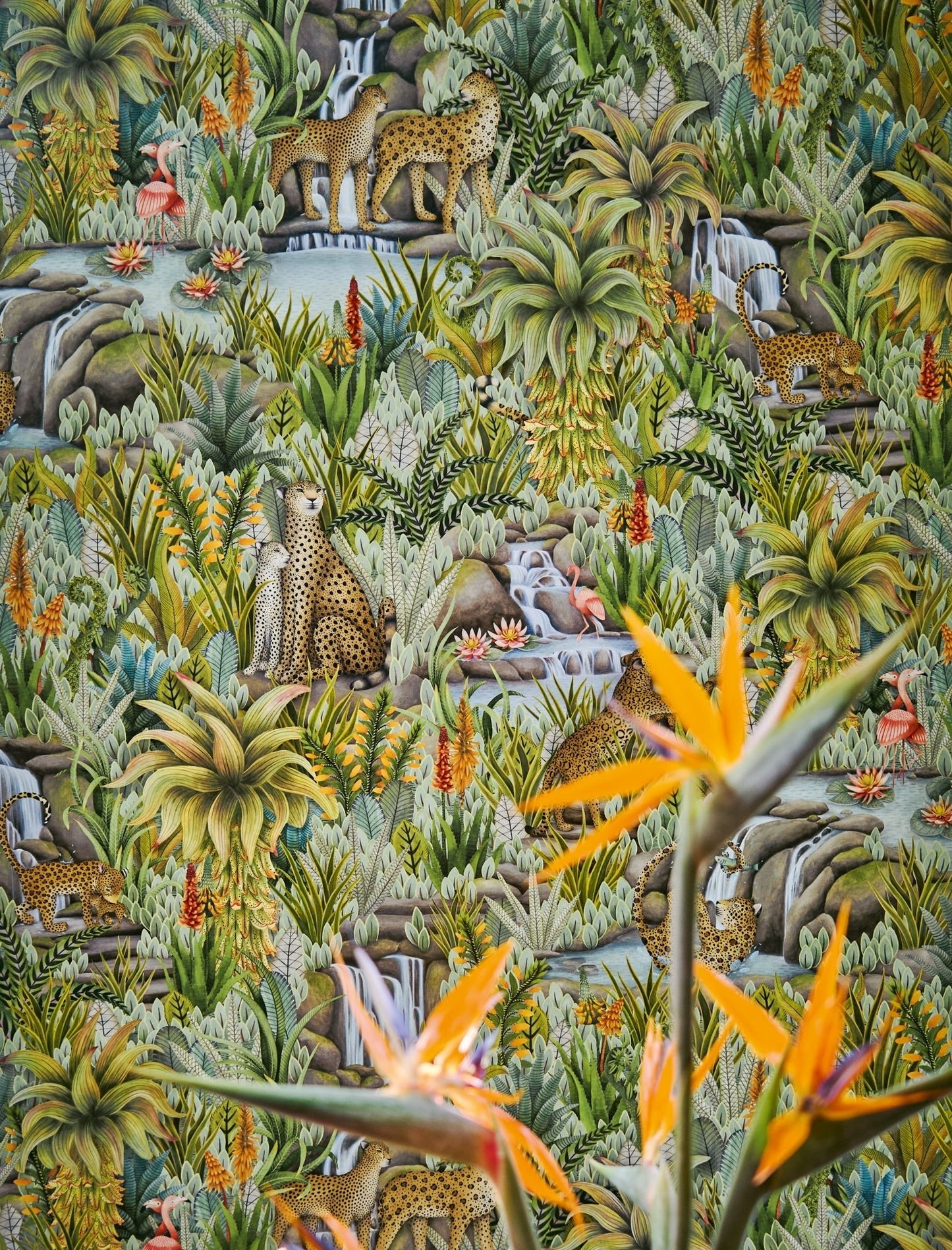 Cole & Son Injisuthi - interior
