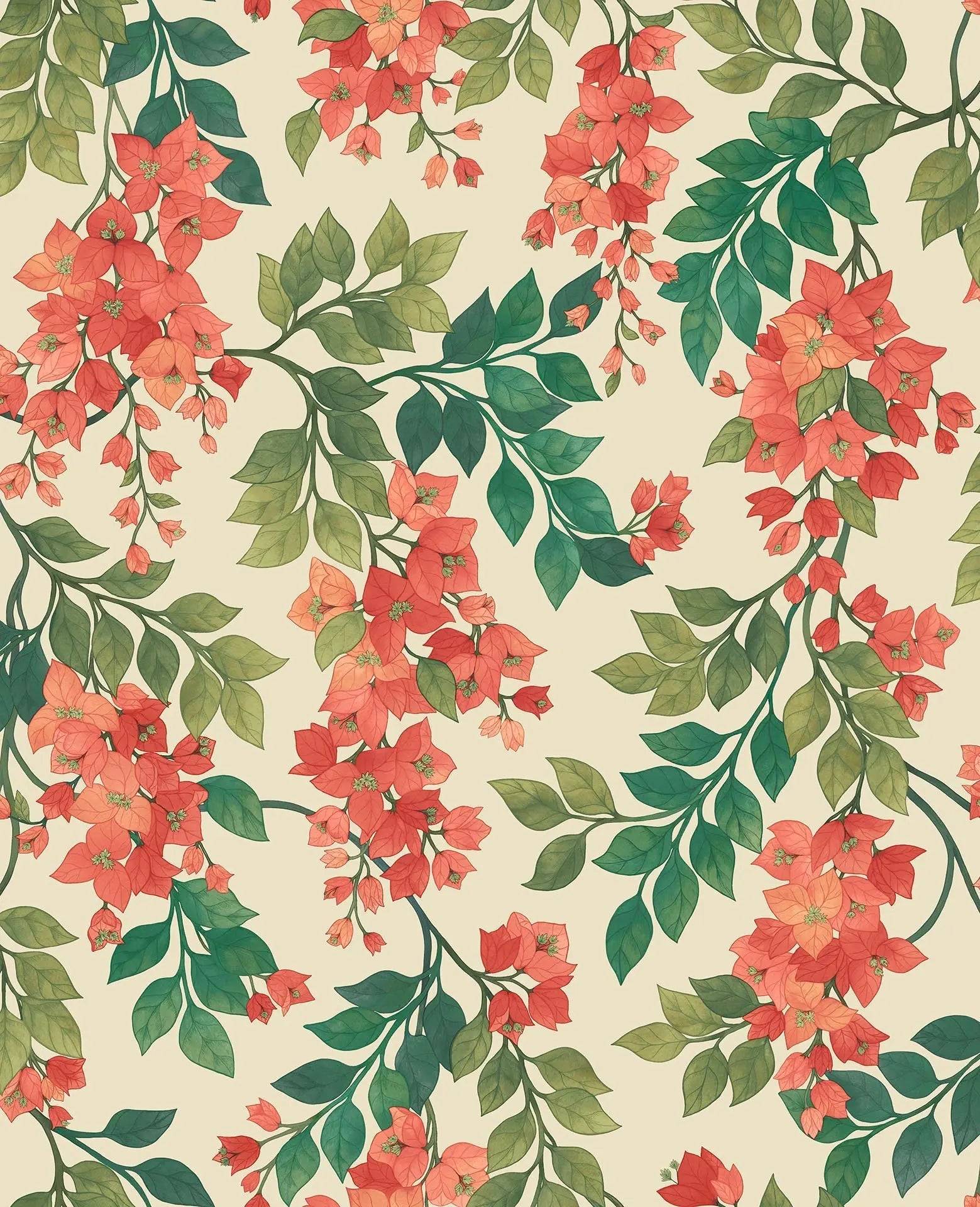Cole & Son Bougainvillea wallpaper - Rouge, Olive Green & Emerald on Cream