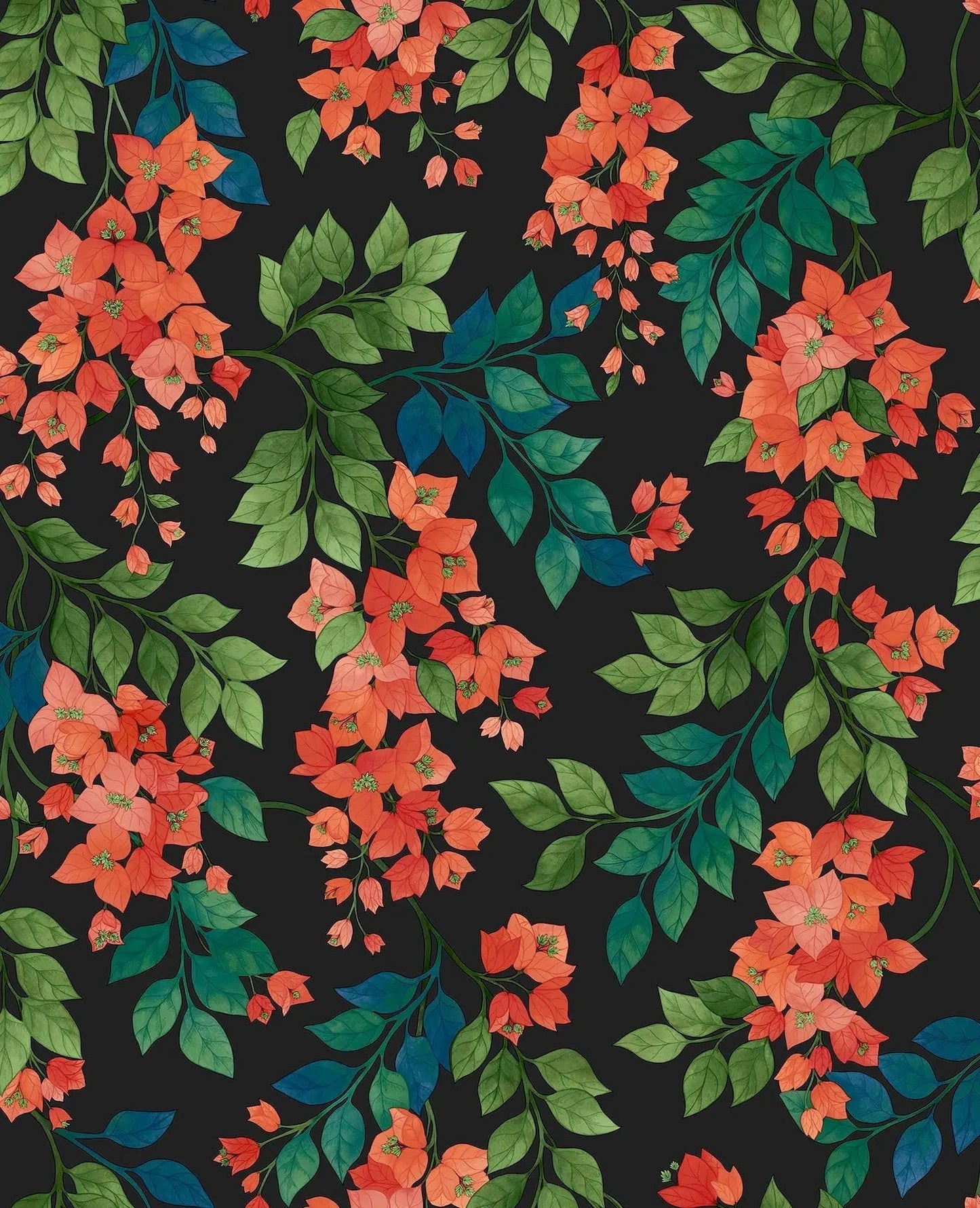 Cole & Son Bougainvillea - Rouge, Leaf Green & Cerulean Sky on Charcoal
