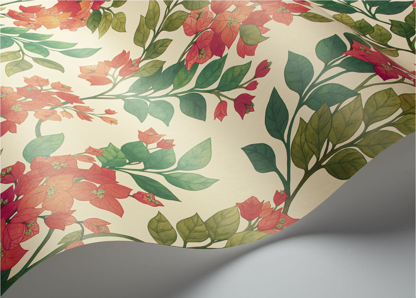 Cole & Son Bougainvillea - interior