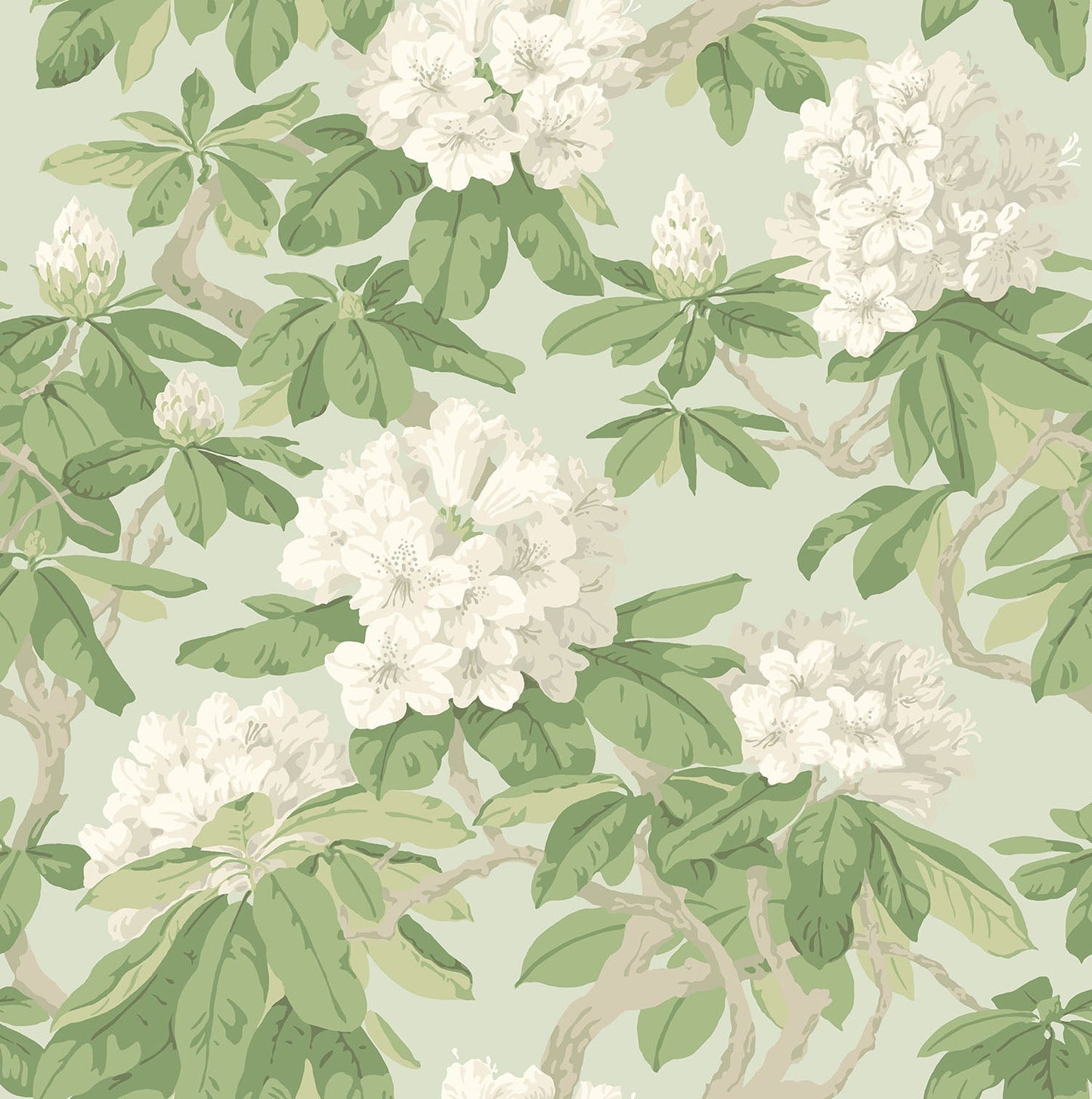 Cole & Son Bourlie - White, Olive Green on Duck Egg