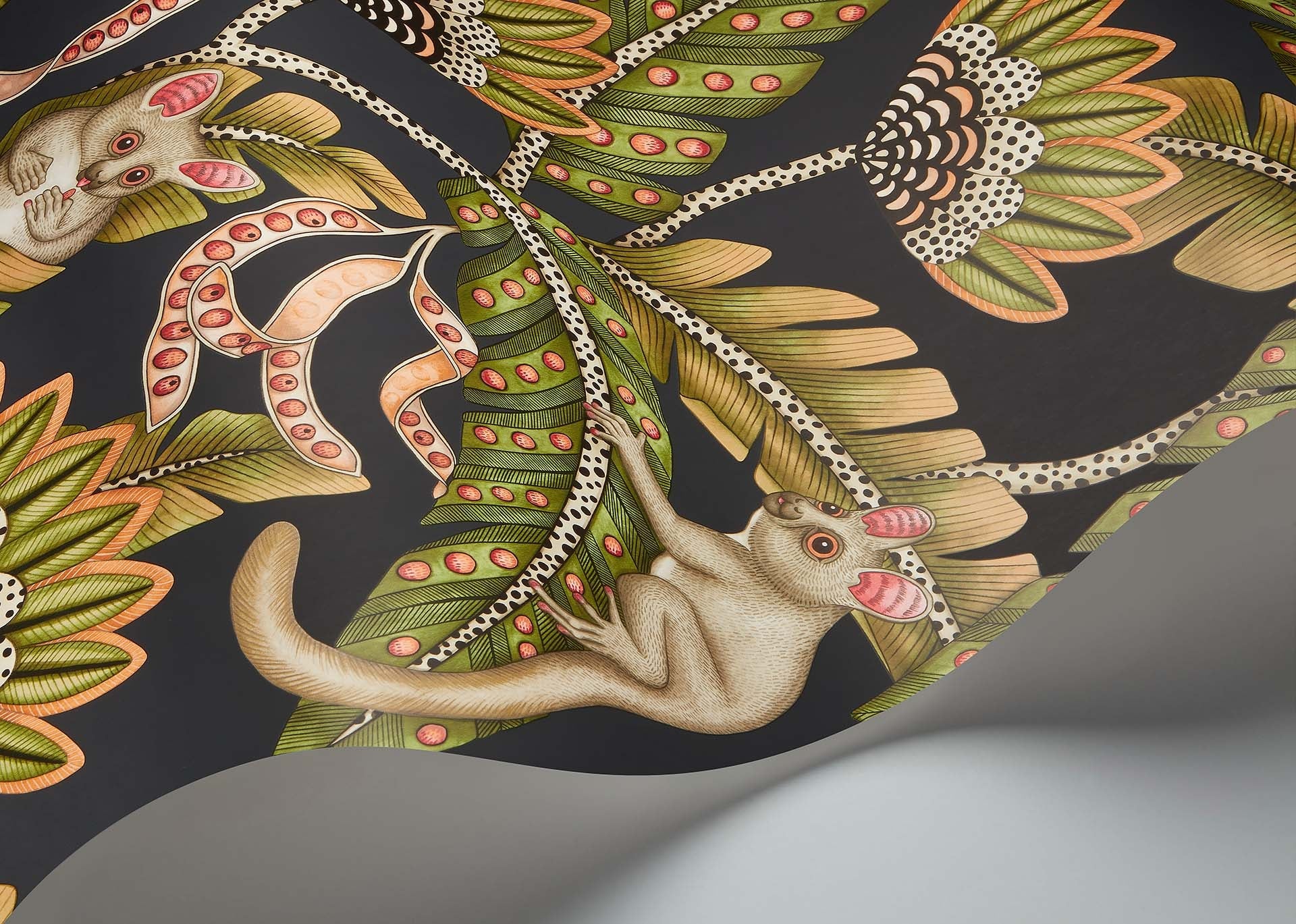 Cole & Son Bush Baby - interior