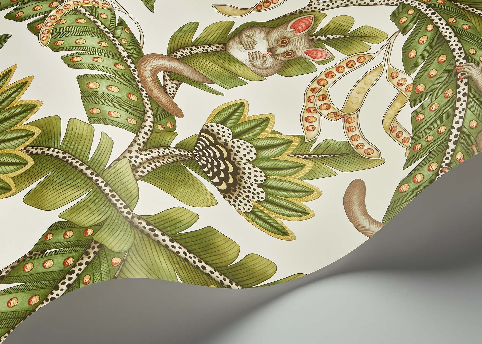 Cole & Son Bush Baby - interior