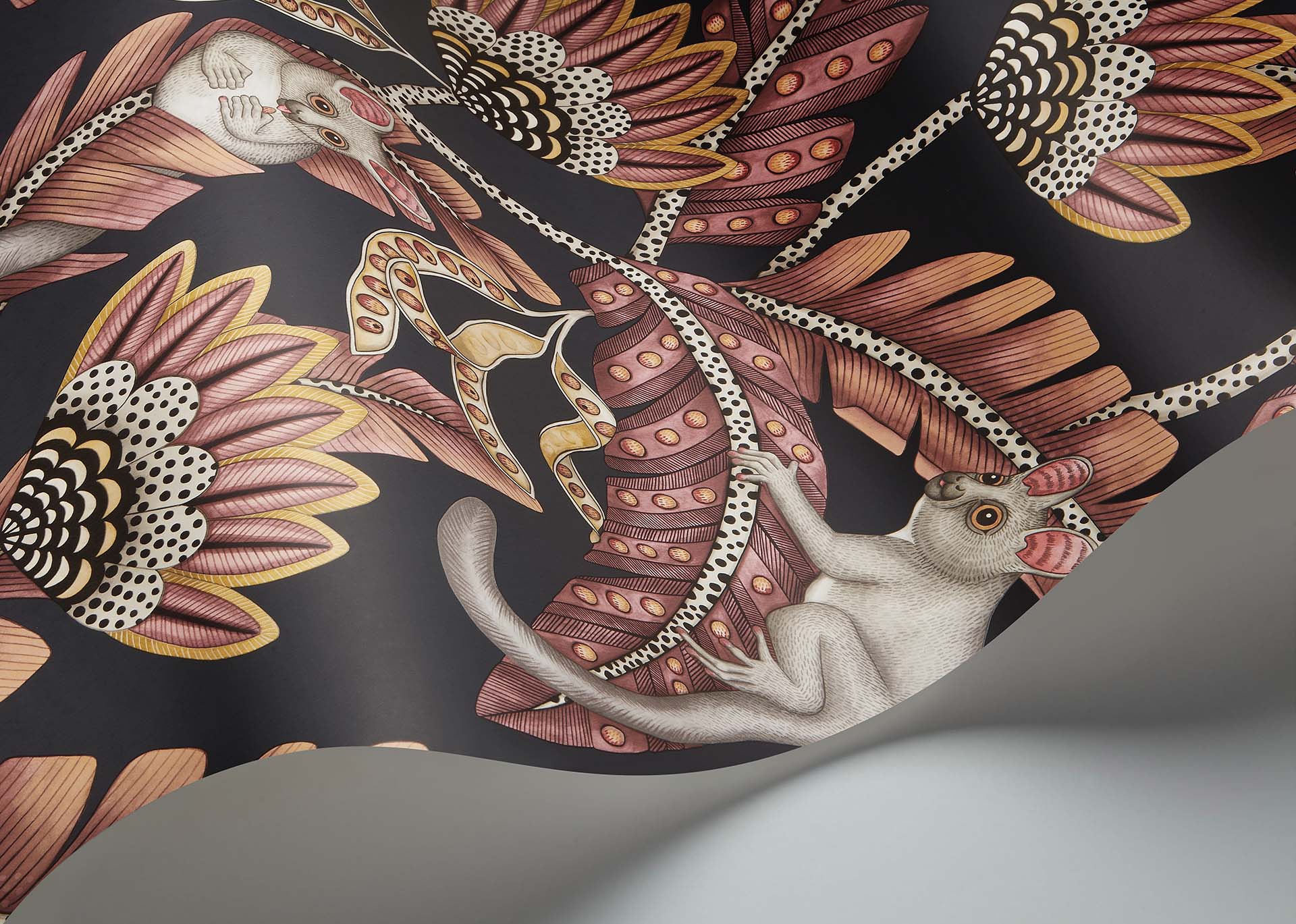 Cole & Son Bush Baby - interior