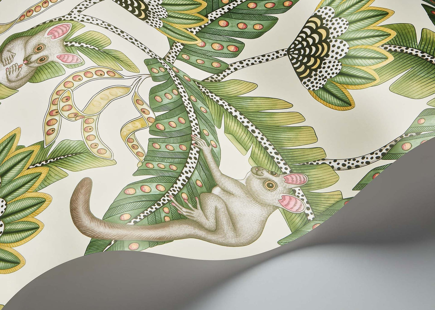 Cole & Son Bush Baby - interior