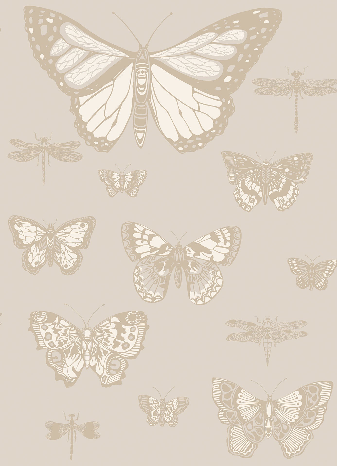 Cole & Son Butterflies & Dragonflies - Metallic Gilver & White on Stone
