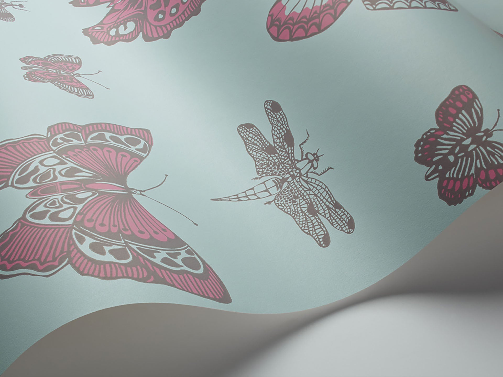 Cole & Son Butterflies & Dragonflies - interior