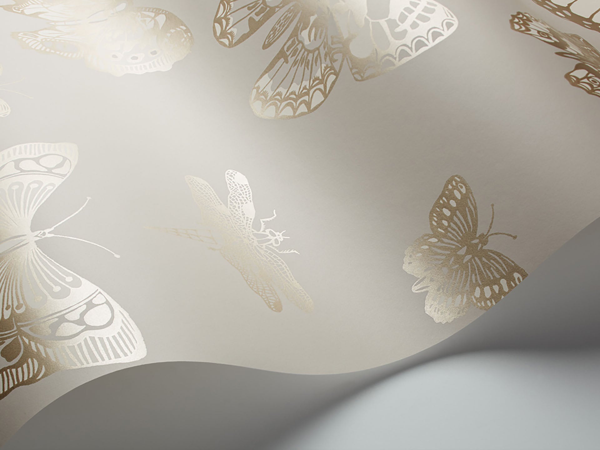 Cole & Son Butterflies & Dragonflies - interior