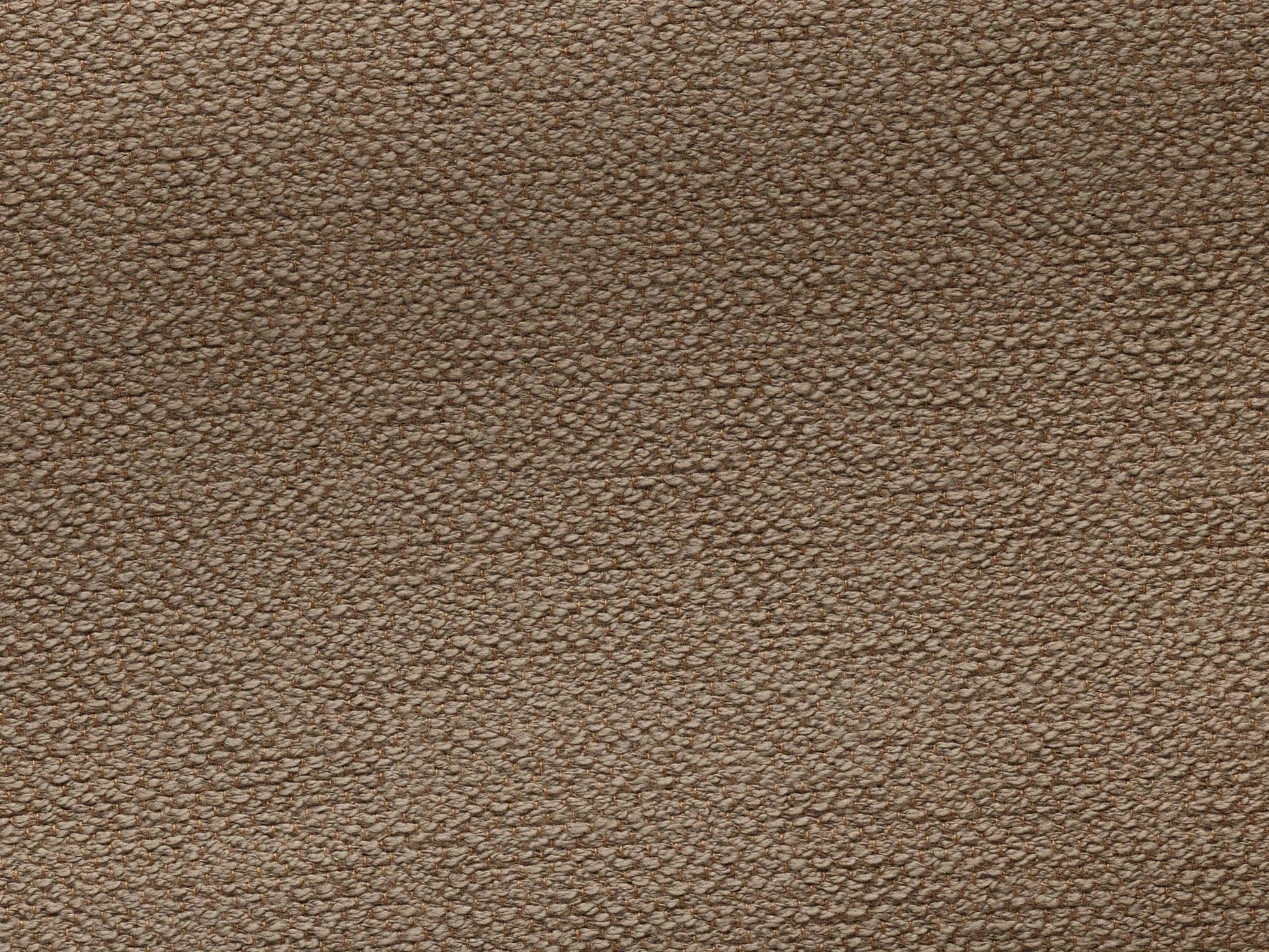 Pierre Frey Toile De Tours - Bouclette - Loutre