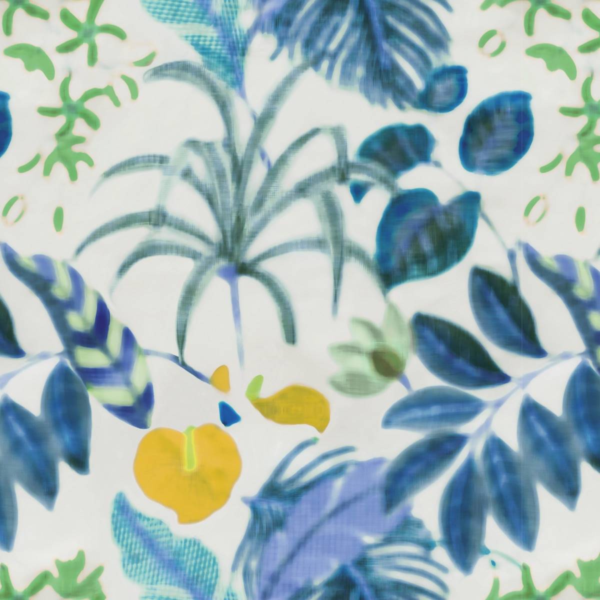Hibiscus - COS152