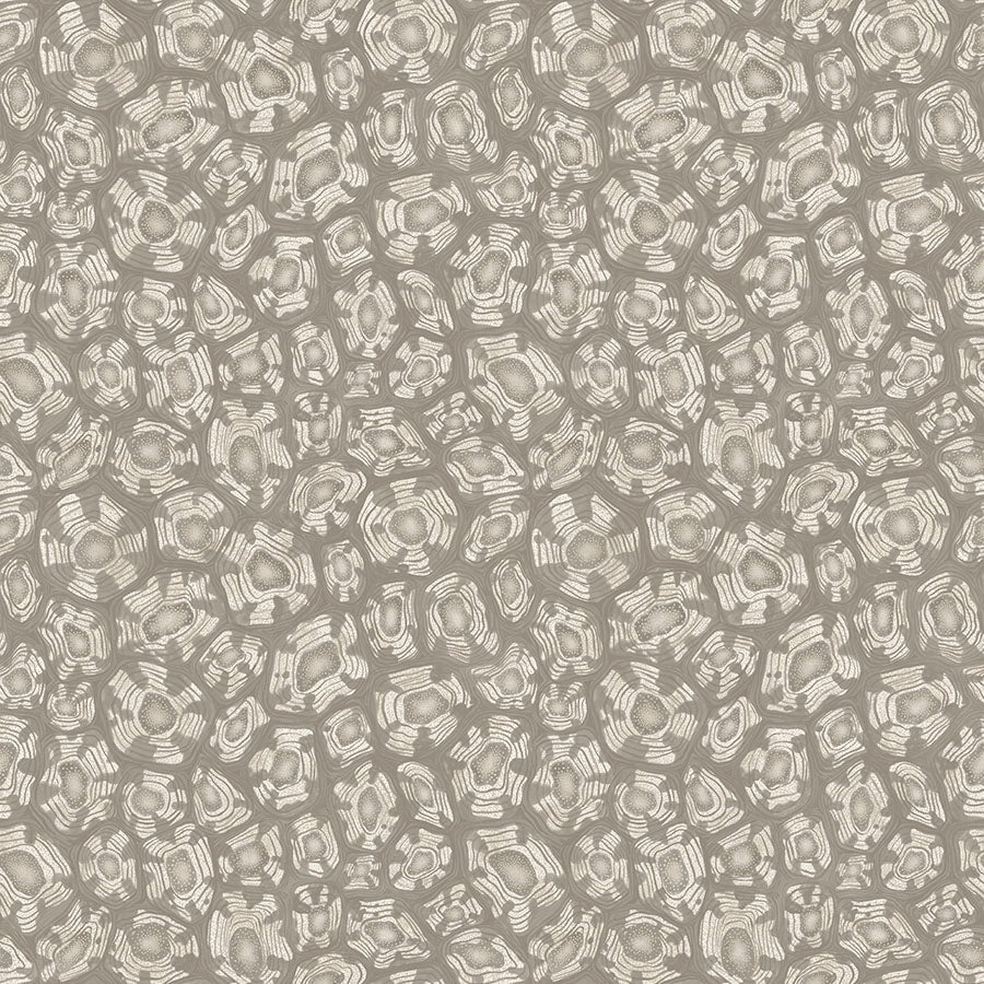 Cole & Son Savanna Shell - Shell Mica, Taupe & Metallic Gilver
