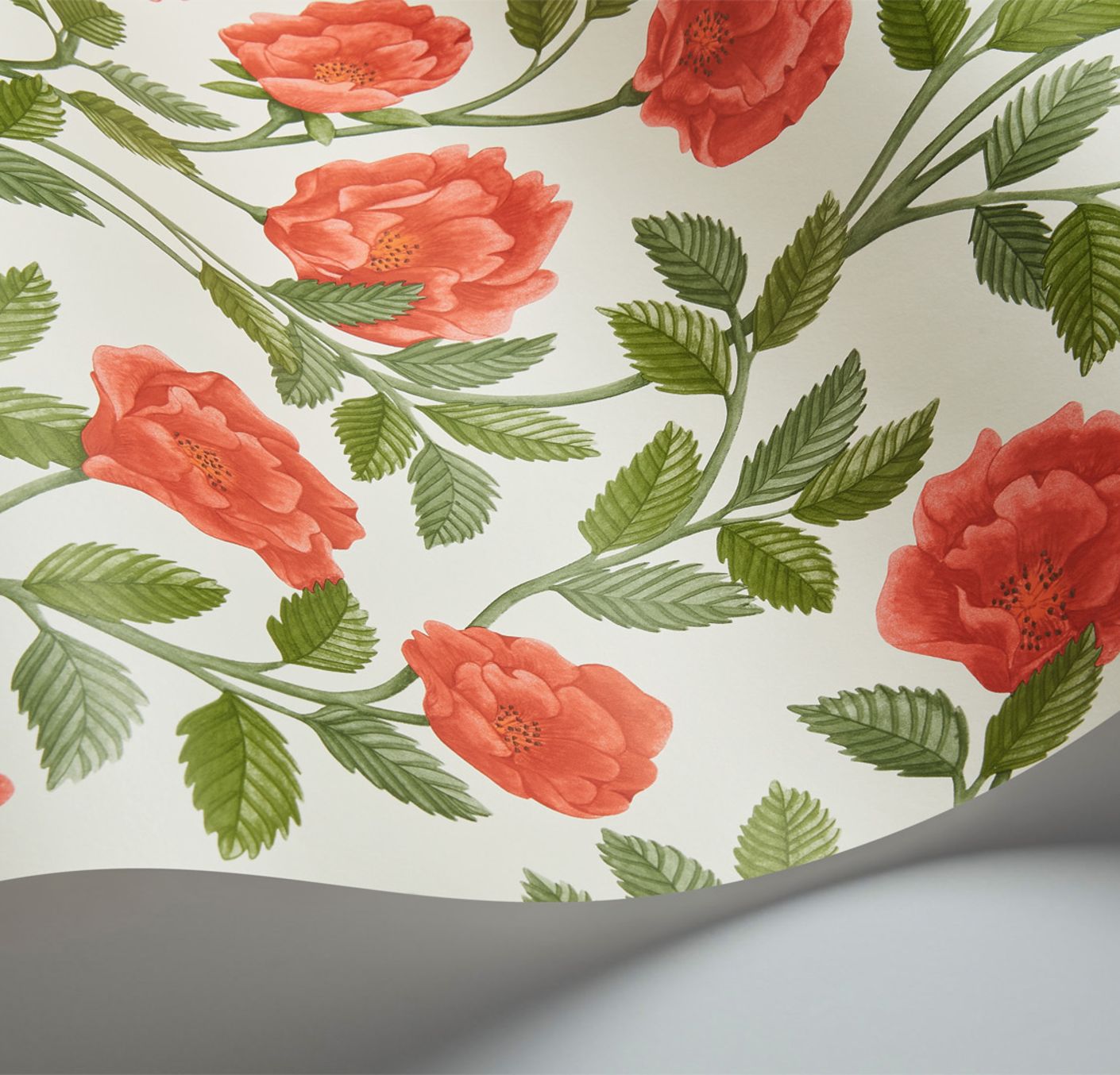 Cole & Son Hampton Roses - interior