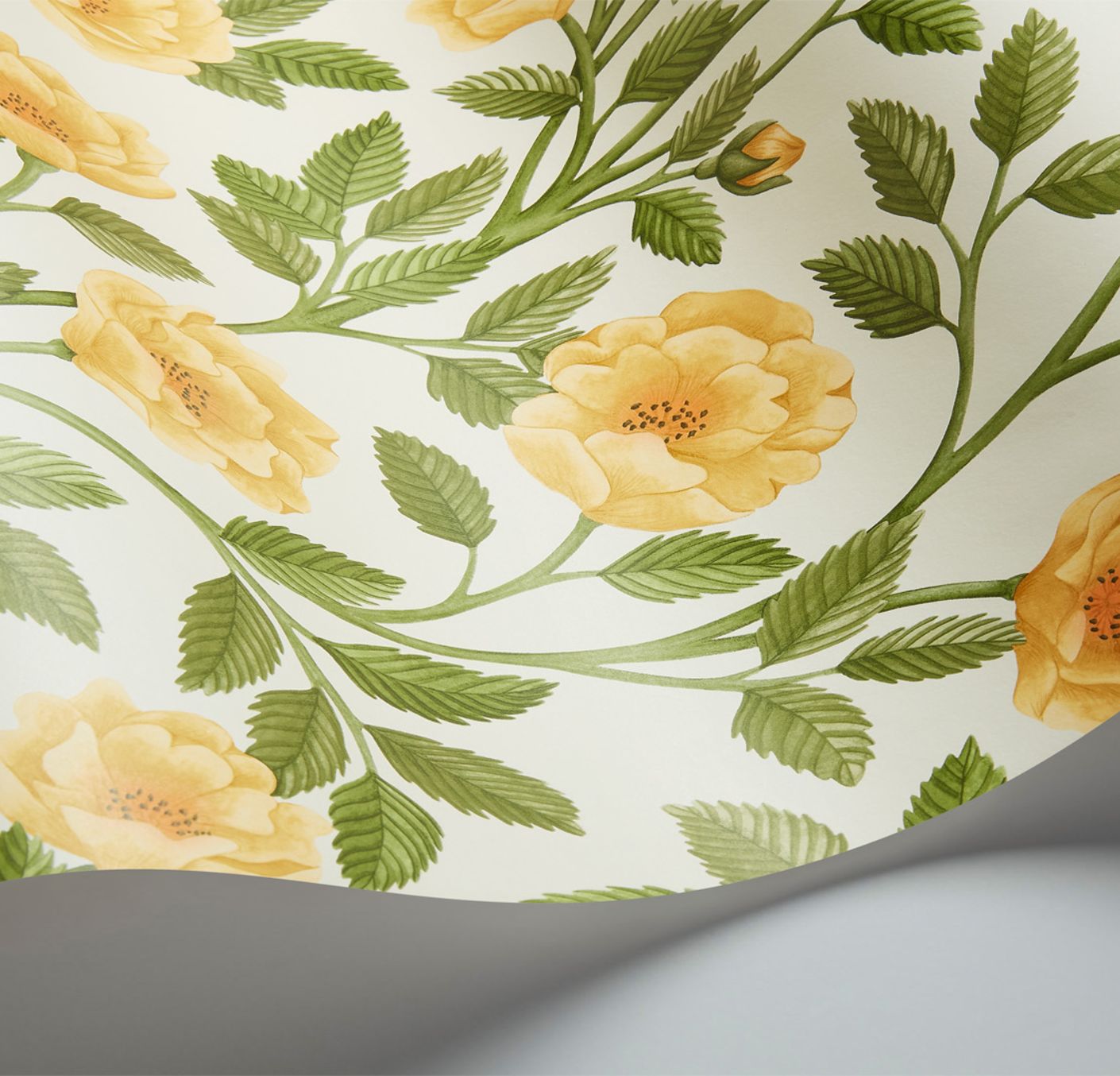 Cole & Son Hampton Roses - interior