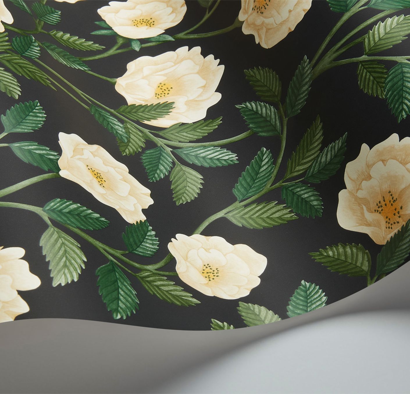 Cole & Son Hampton Roses - interior