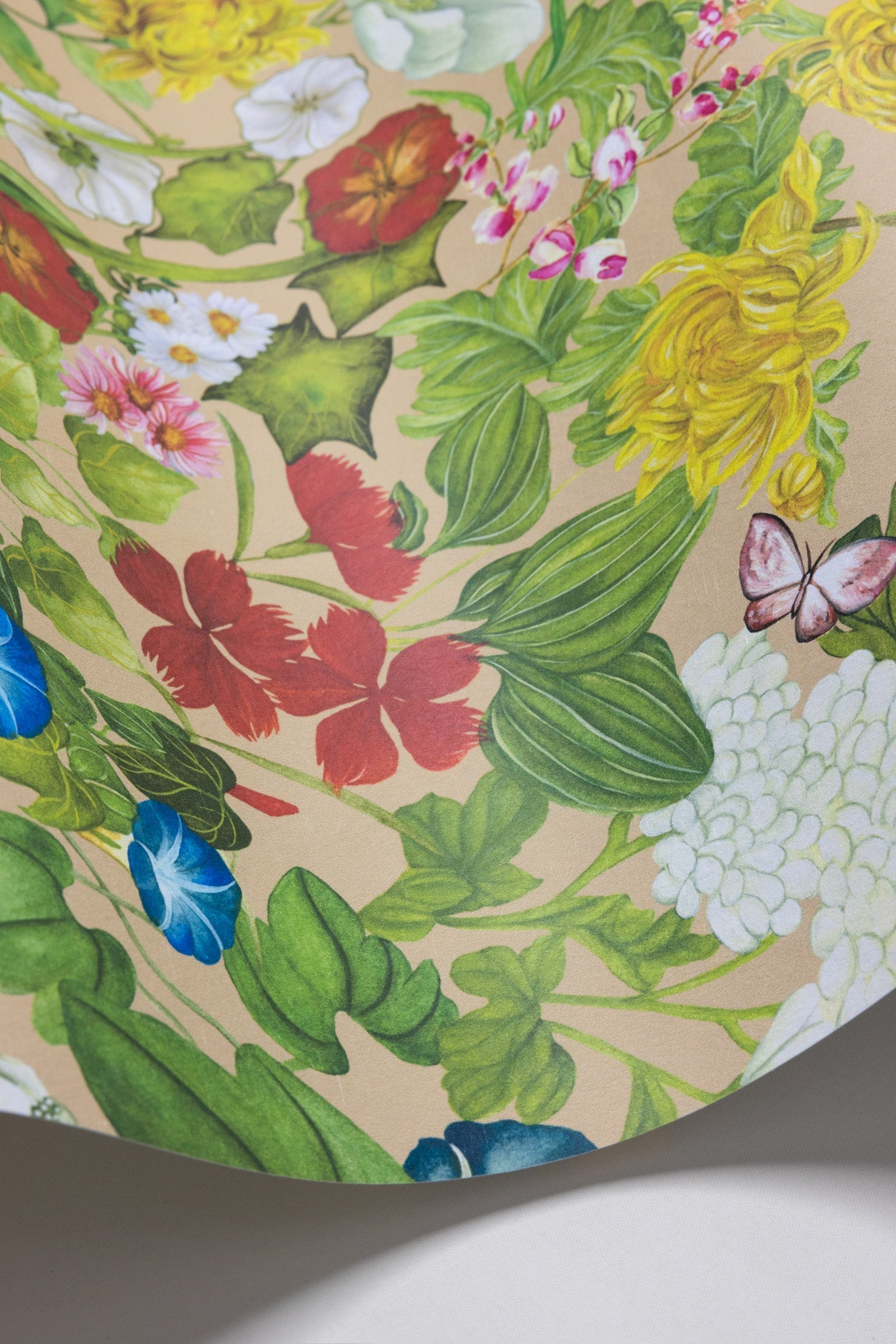 Cole & Son Flora Province - interior