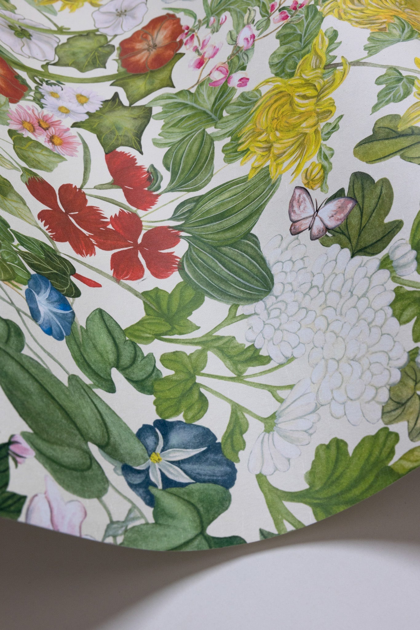 Cole & Son Flora Province - interior