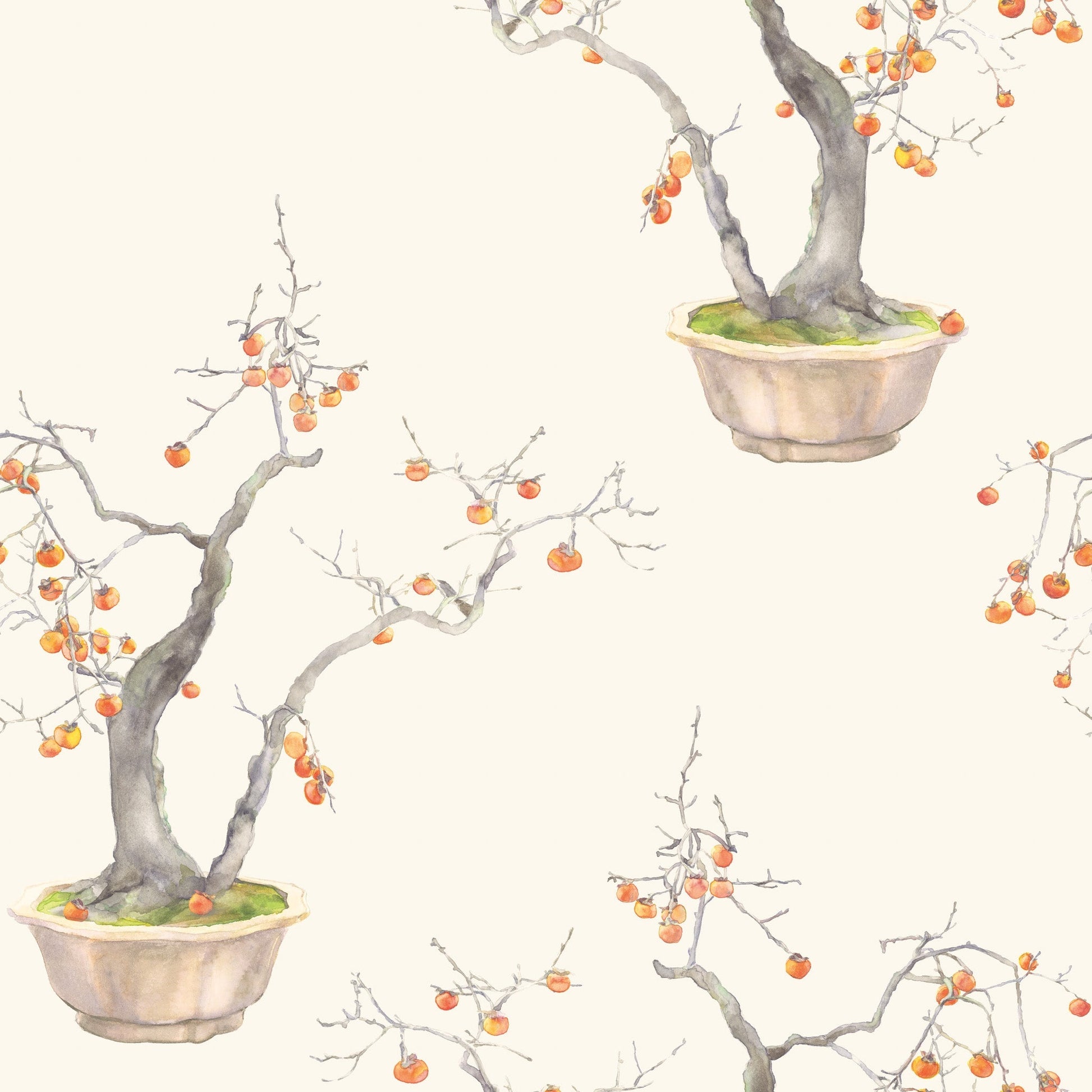 Cole & Son Kaki Persimmon wallpaper - Ivory & Bergamot