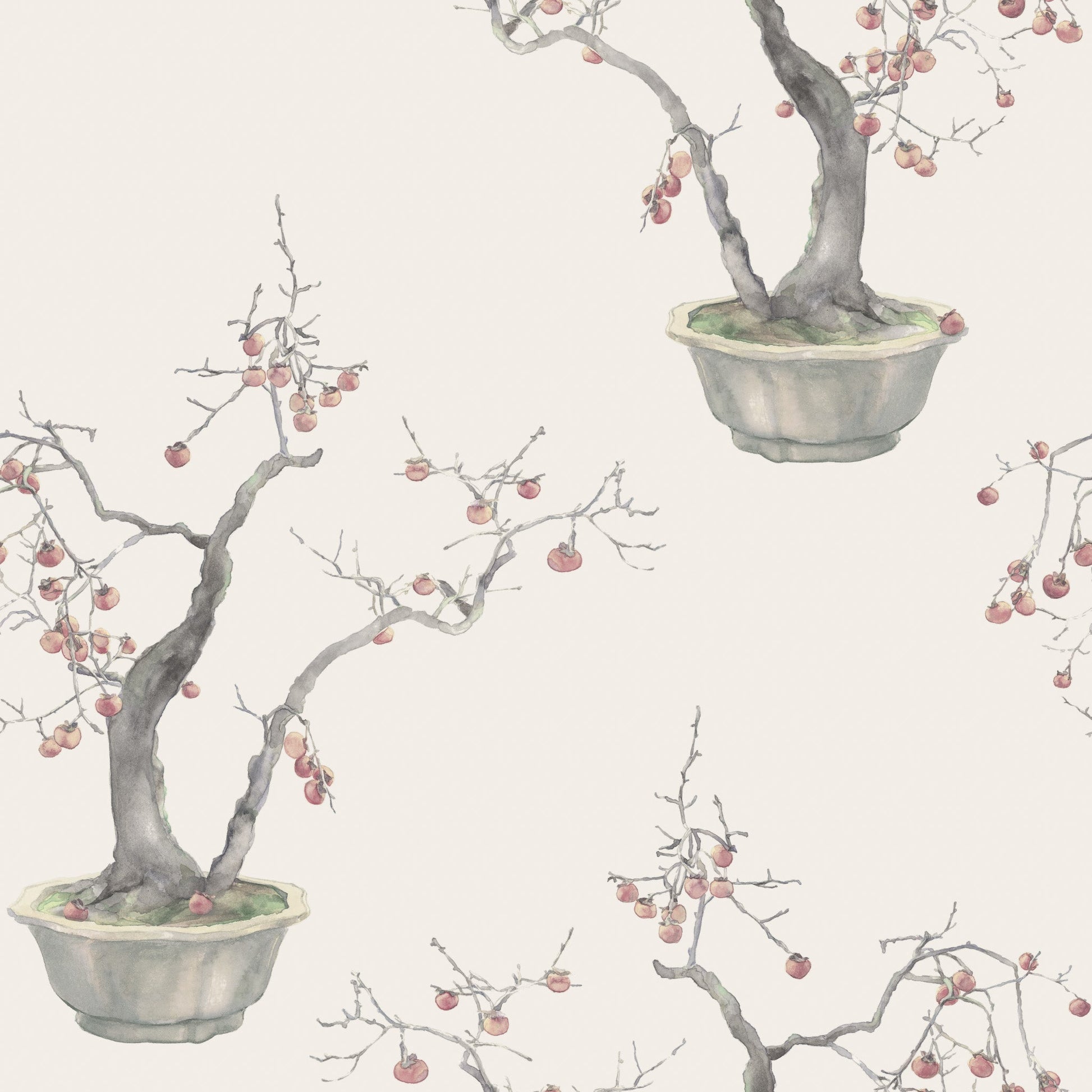 Cole & Son Kaki Persimmon - Silver