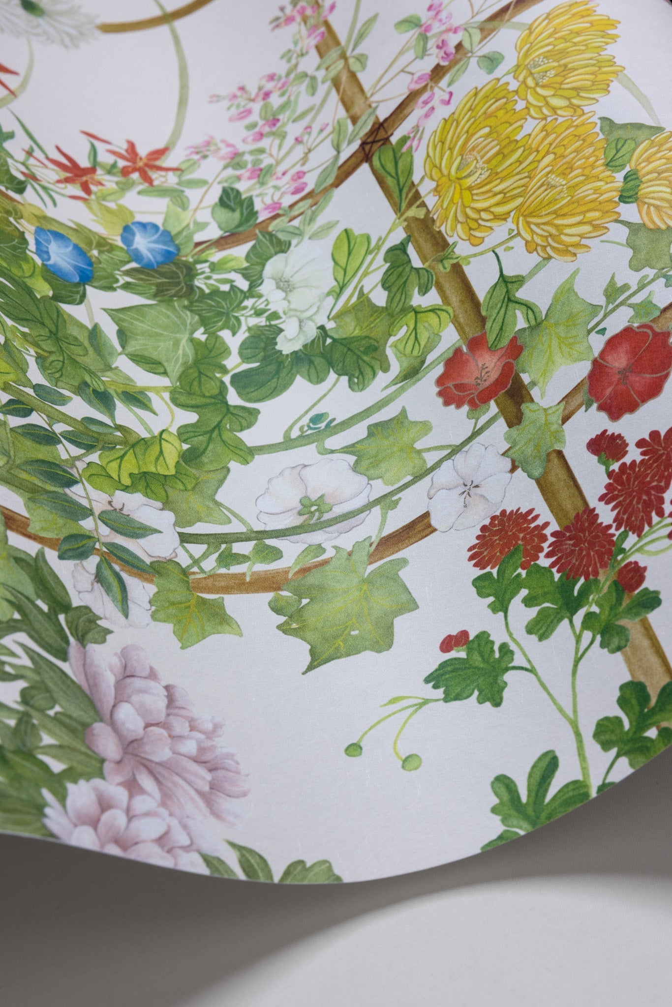 Cole & Son Scenic Flora - interior