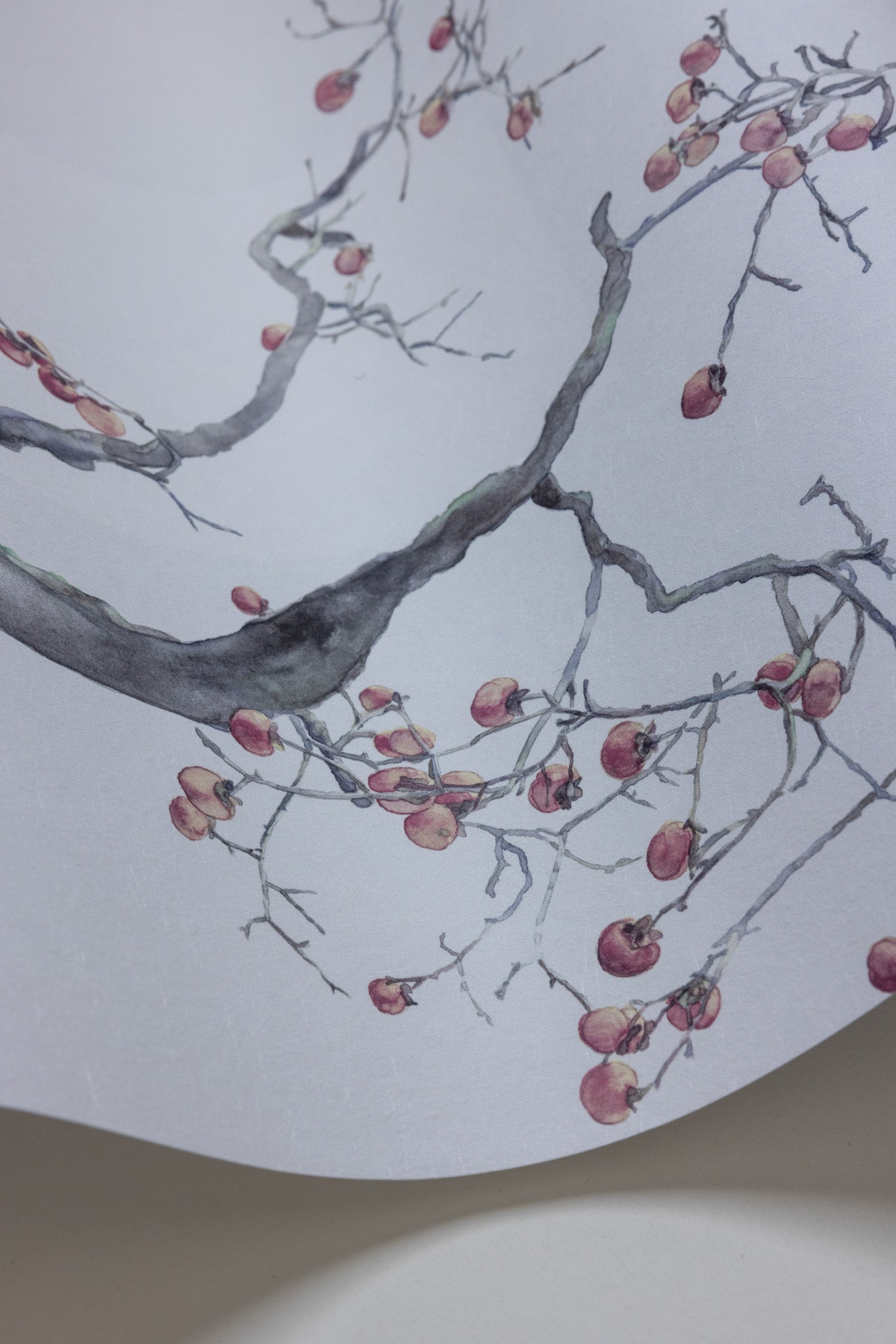 Cole & Son Kaki Persimmon - interior