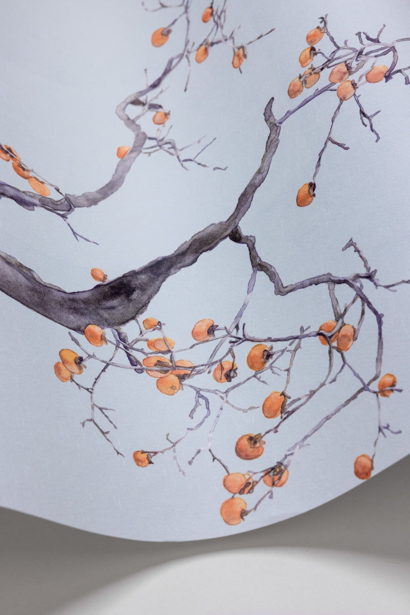 Cole & Son Kaki Persimmon - interior