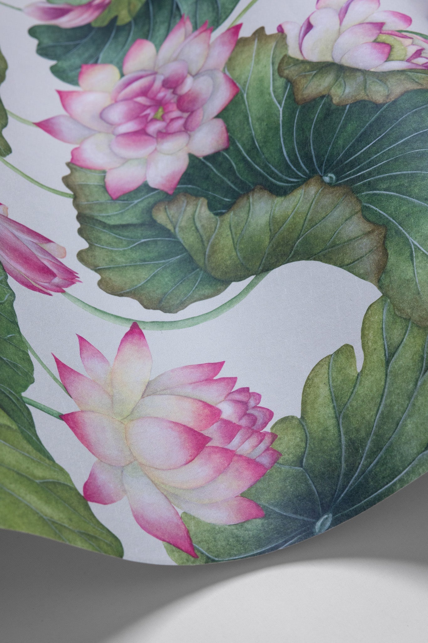 Cole & Son Lily Lotus - interior