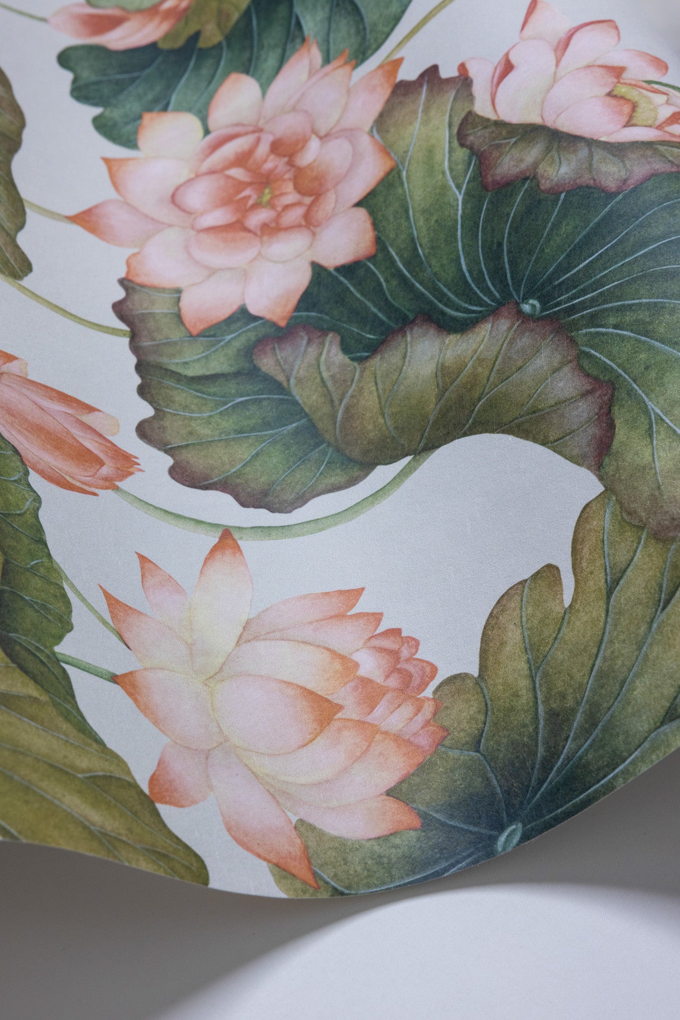 Cole & Son Lily Lotus - interior
