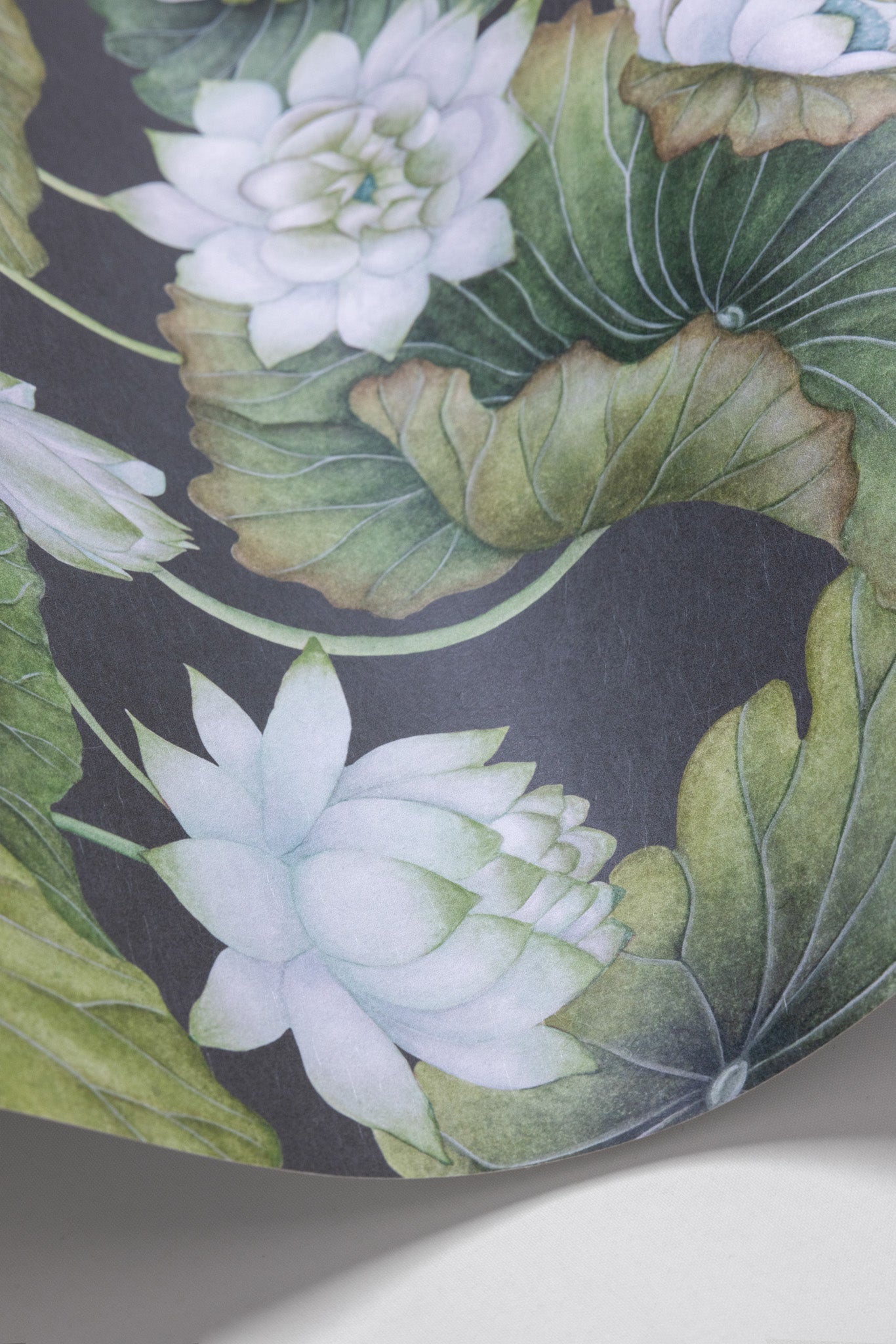 Cole & Son Lily Lotus - interior