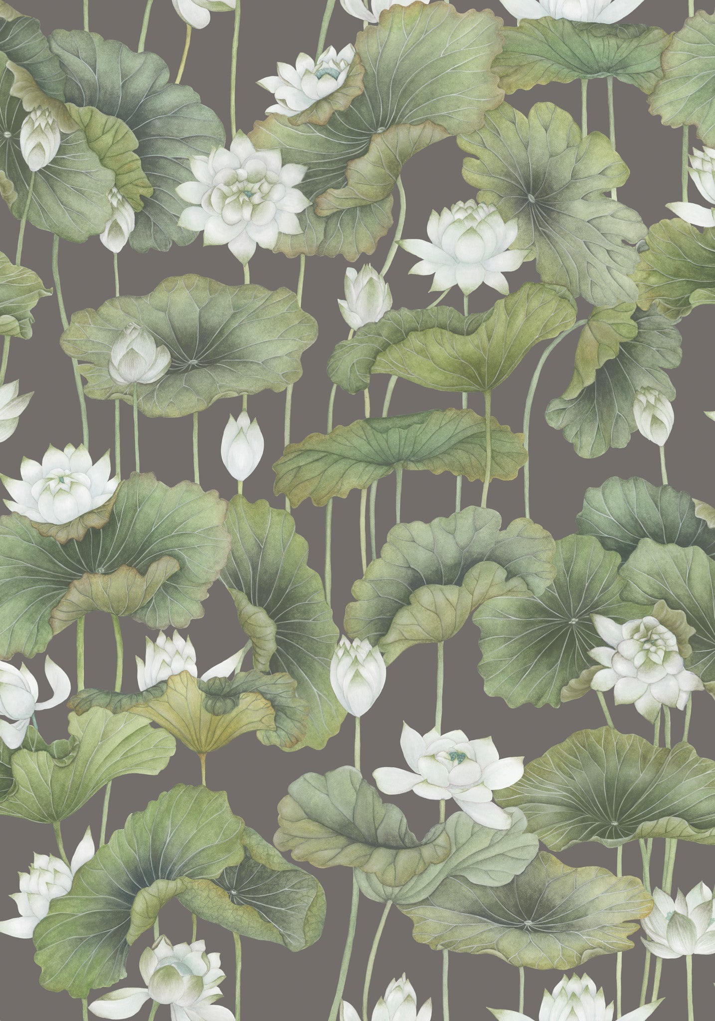 Cole & Son Lily Lotus - White on Charcoal