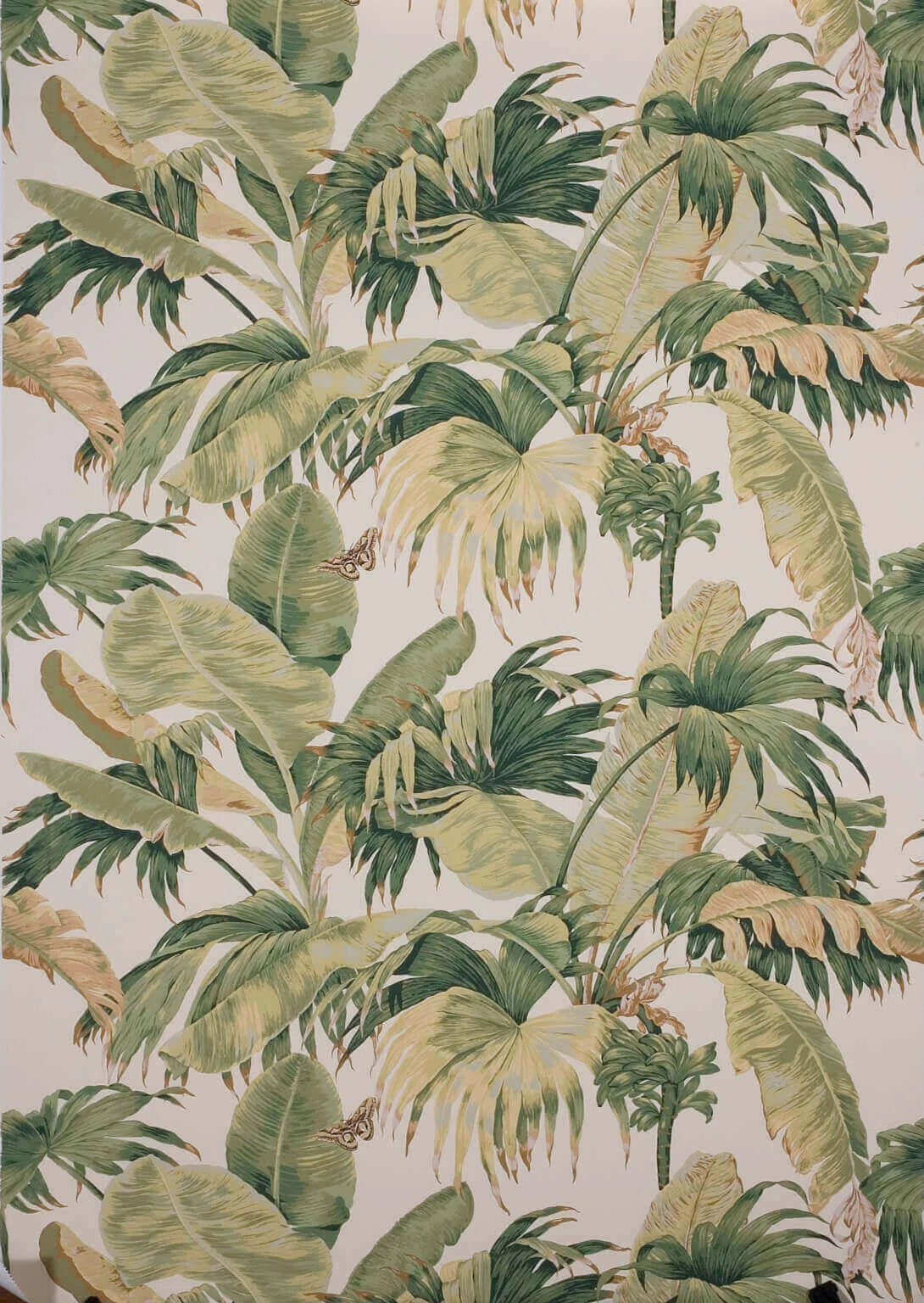 Pierre Frey Wallpaper Bananier - Ecru Green