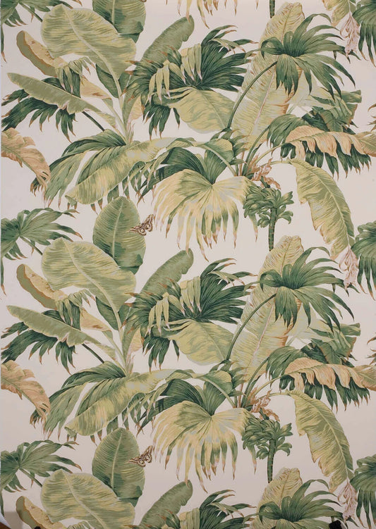 Pierre Frey Wallpaper Bananier - Ecru Green