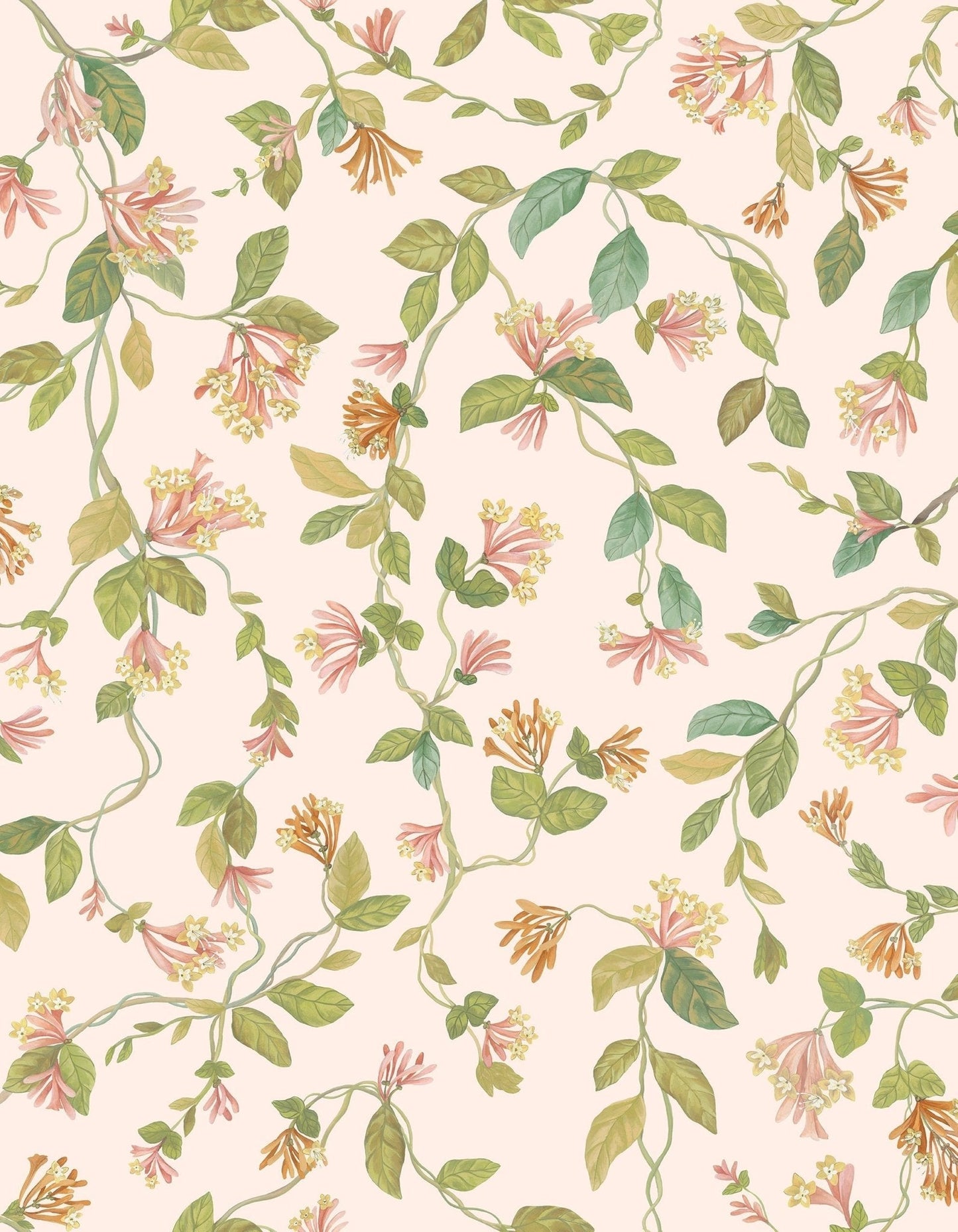 Cole & Son Flora - Tangerine & Olive on Blush