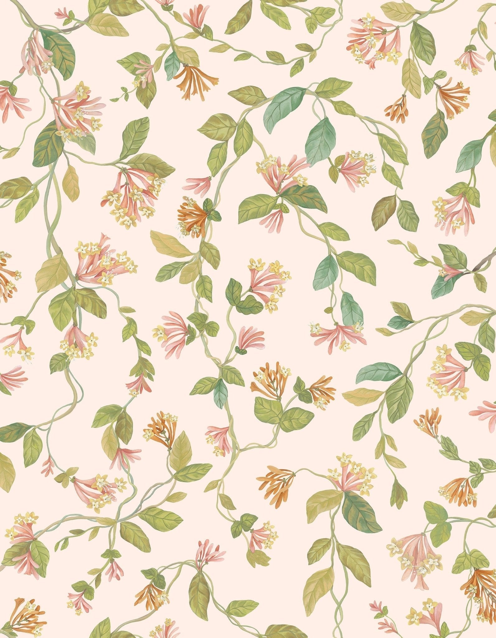 Cole & Son Flora - Tangerine & Olive on Blush