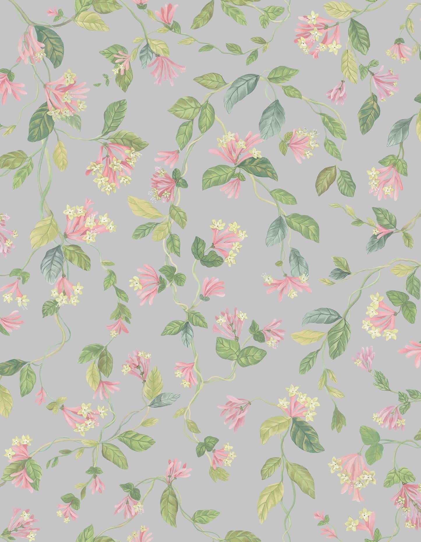 Cole & Son Flora - Rose & Olive on Grey