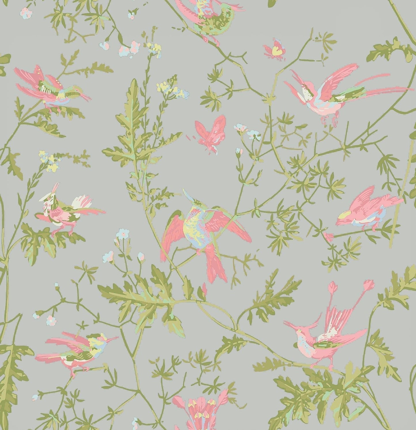 Cole & Son Hummingbirds - Rose & Olive on Grey