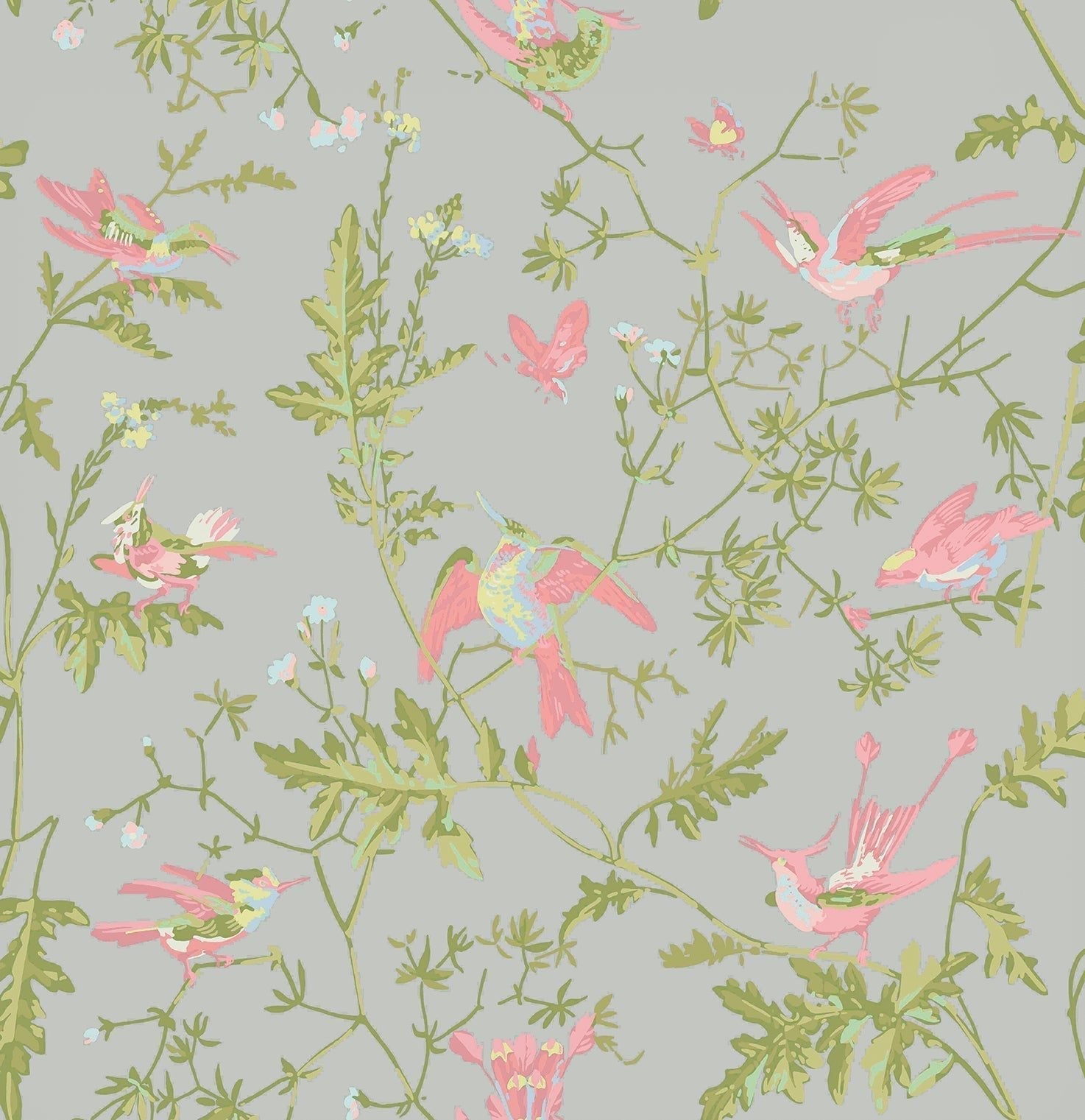 Cole & Son Hummingbirds - Rose & Olive on Grey