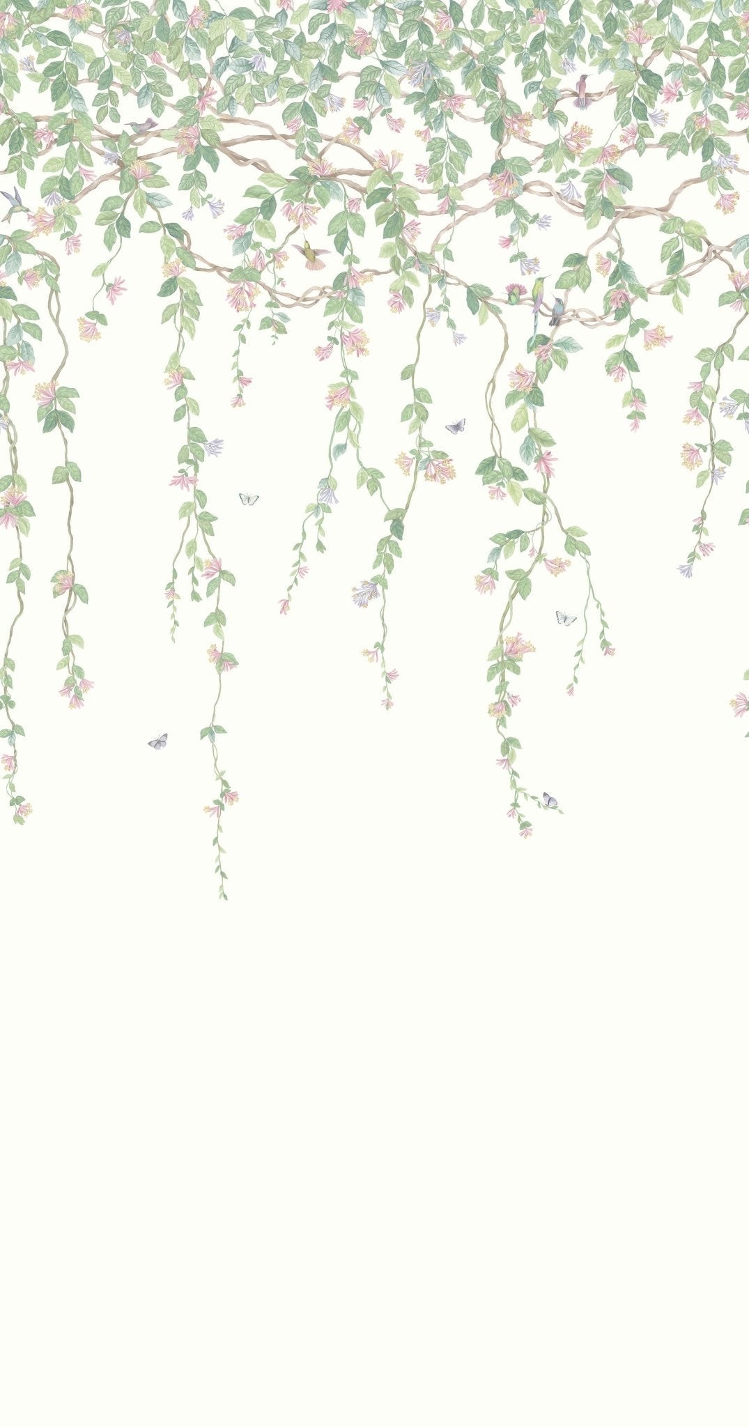 Cole & Son Hummingbirds Flora wallpaper - Blush, Sage, & Mulberry on Cream
