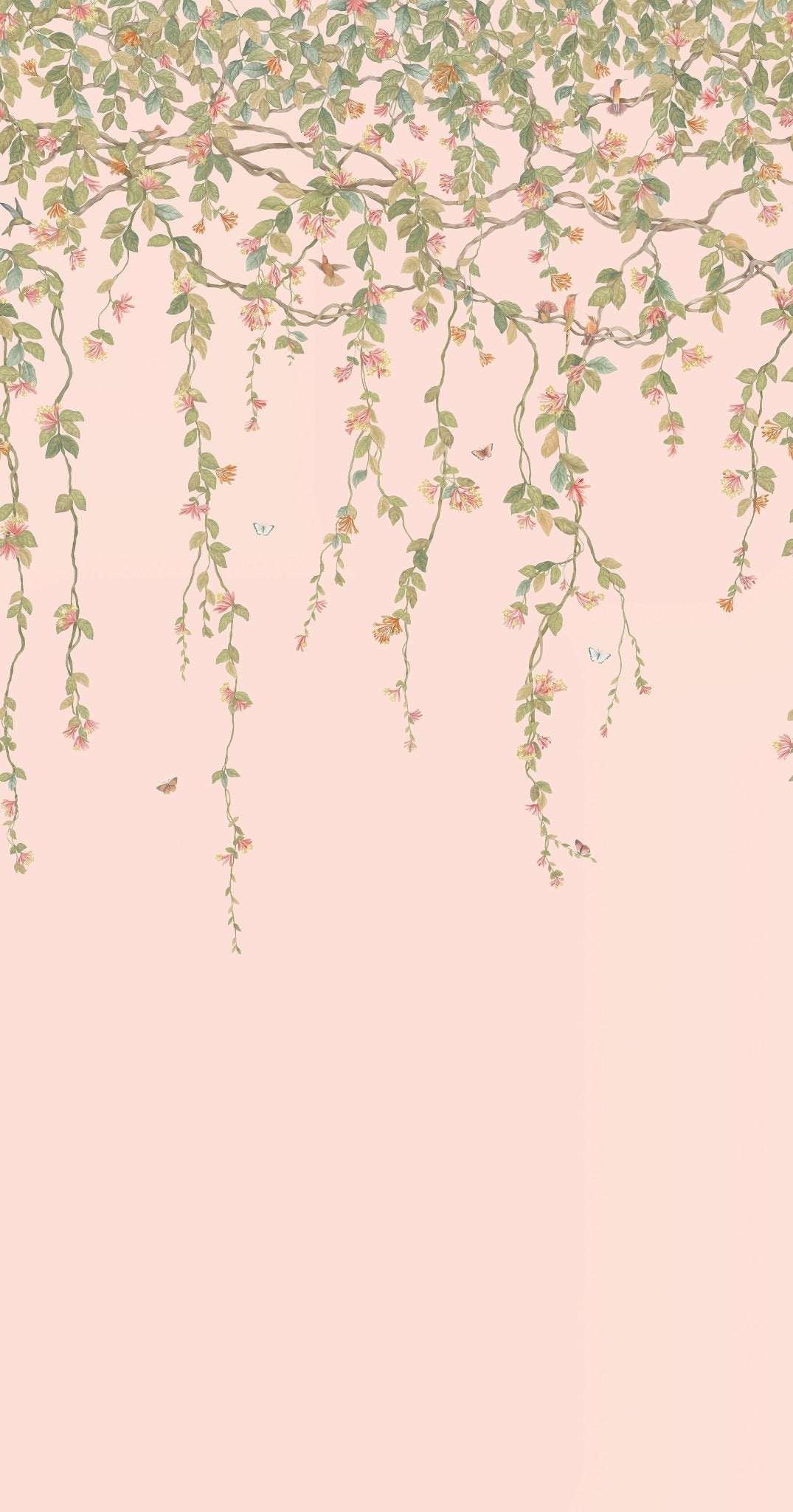 Cole & Son Hummingbirds Flora - Tangerine & Olive on Blush