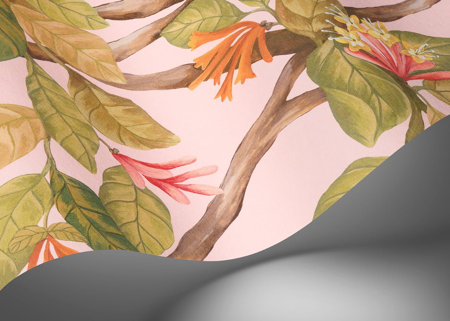 Cole & Son Hummingbirds Flora - interior