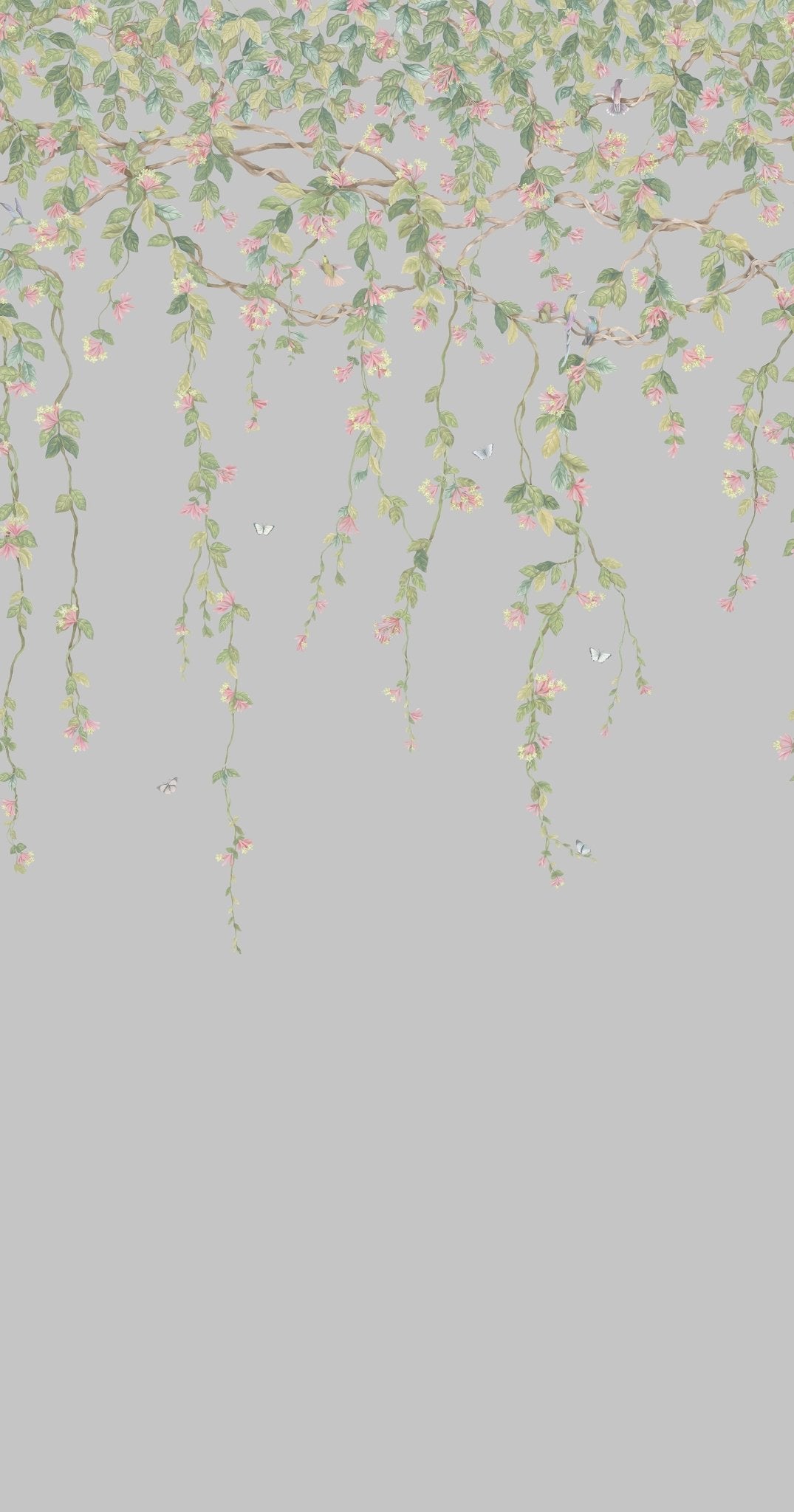 Cole & Son Hummingbirds Flora - Rose & Olive on Grey