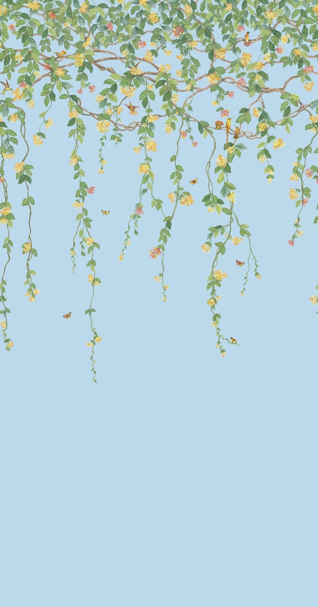 Cole & Son Hummingbirds Flora - Buttercup Yellow on Cornflower Blue