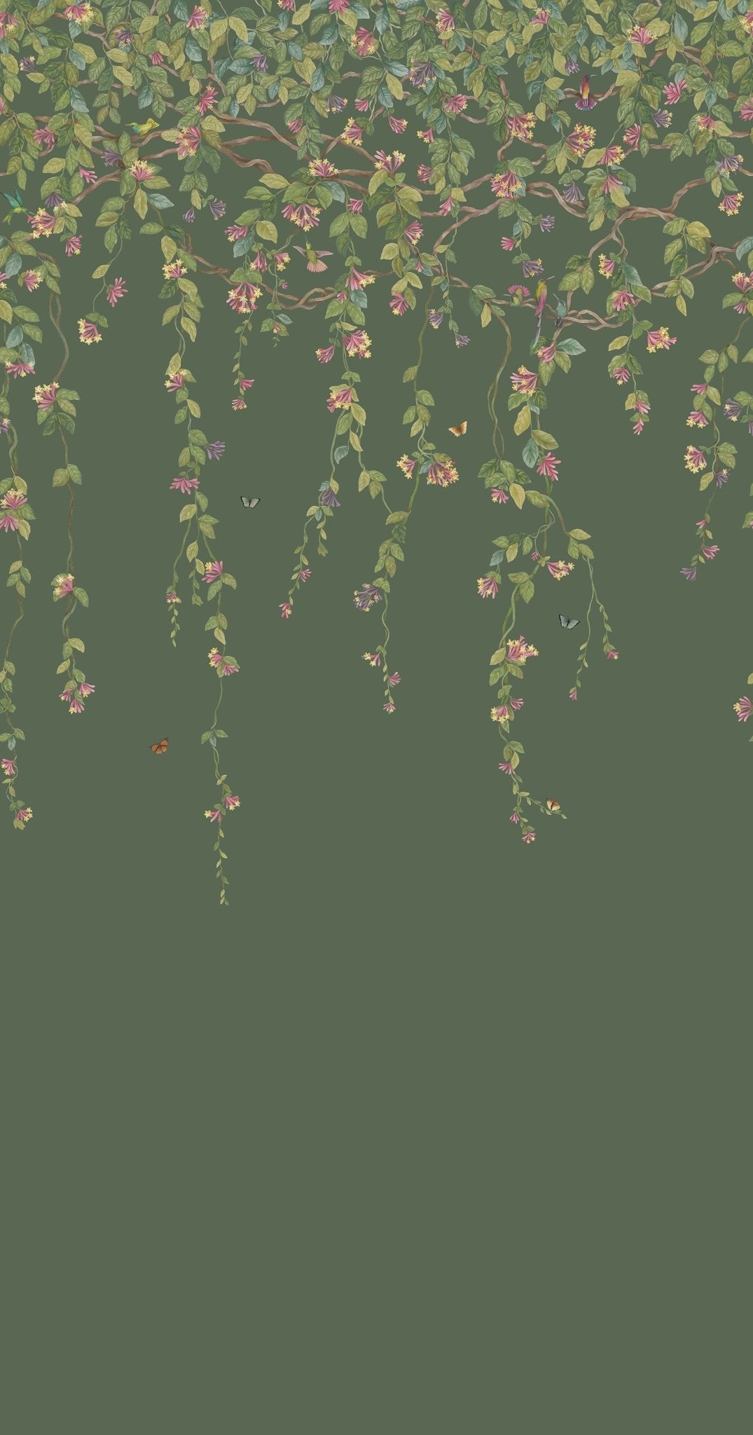 Cole & Son Hummingbirds Flora - Fuchsia on Racing Green