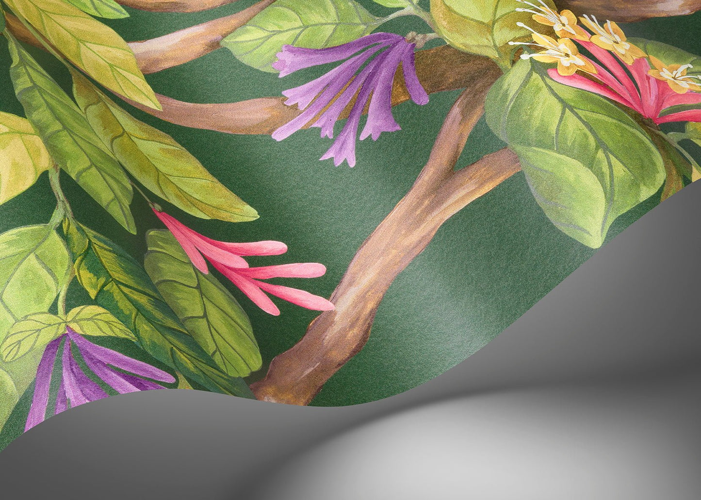 Cole & Son Hummingbirds Flora - interior