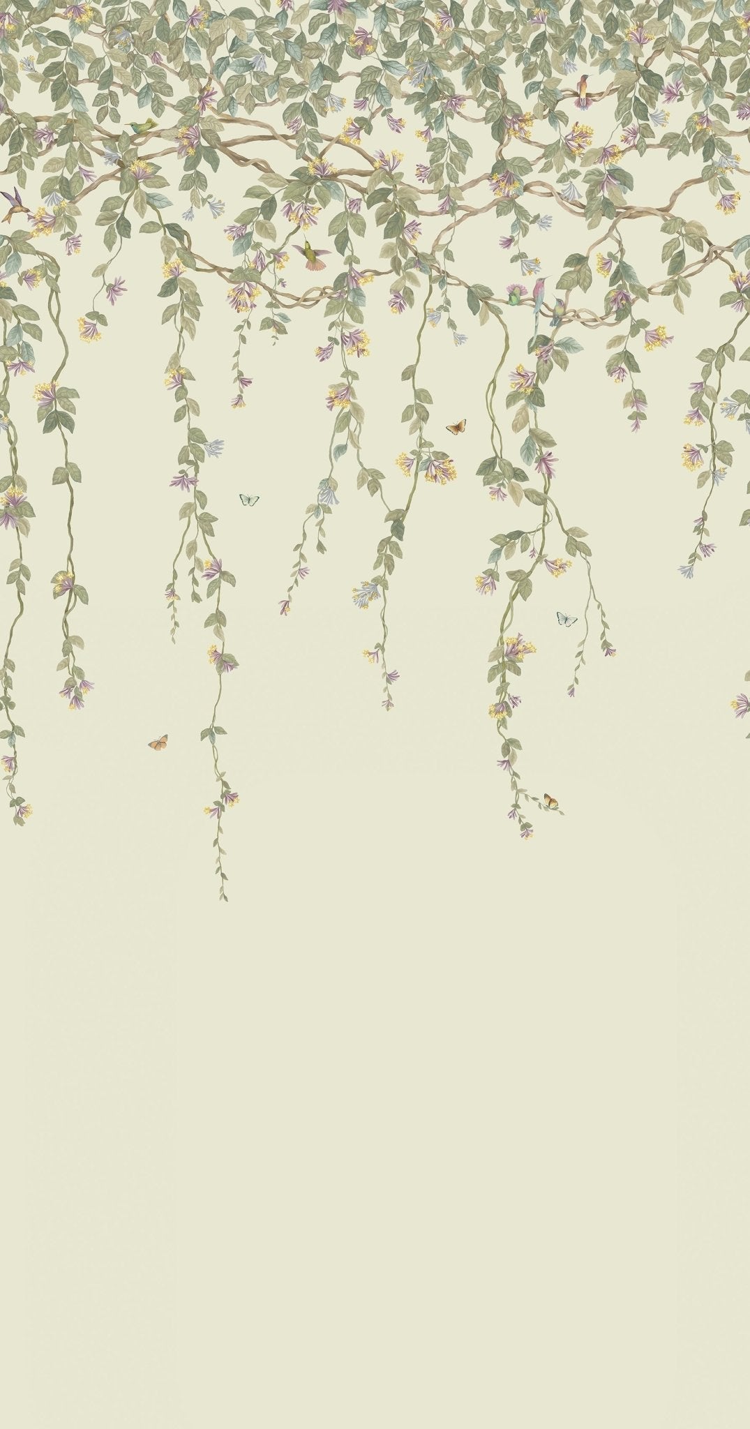 Cole & Son Hummingbirds Flora - Multi, Old Olive on Eau Du Nil