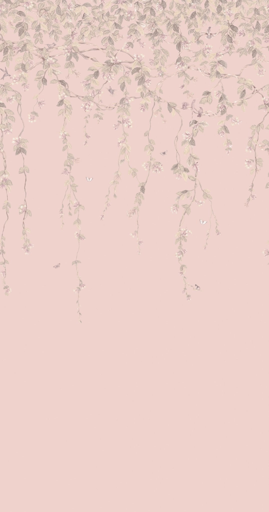 Cole & Son Hummingbirds Flora - Stone on Rose Quartz