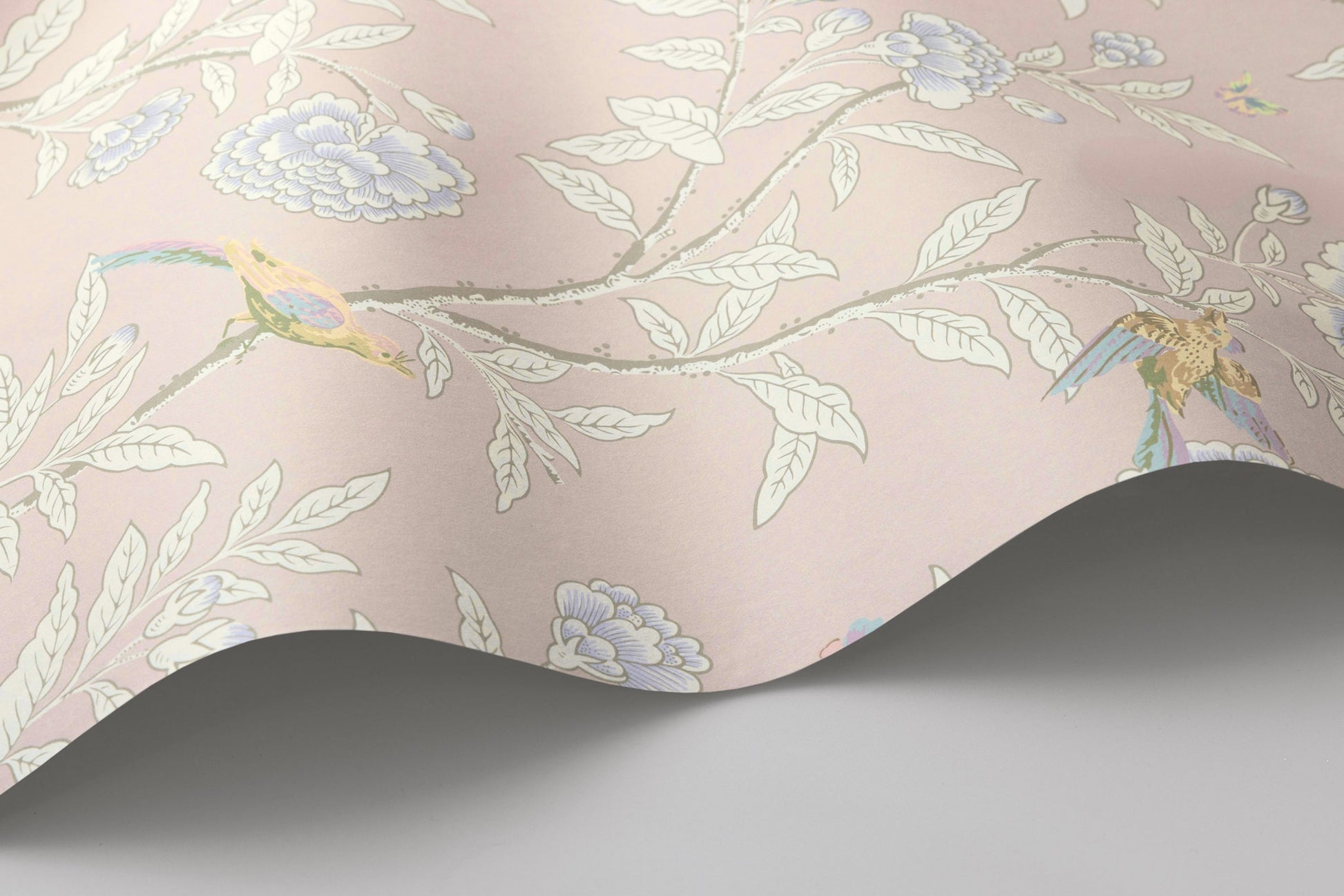 Cole & Son Roseberry with Birds - interior