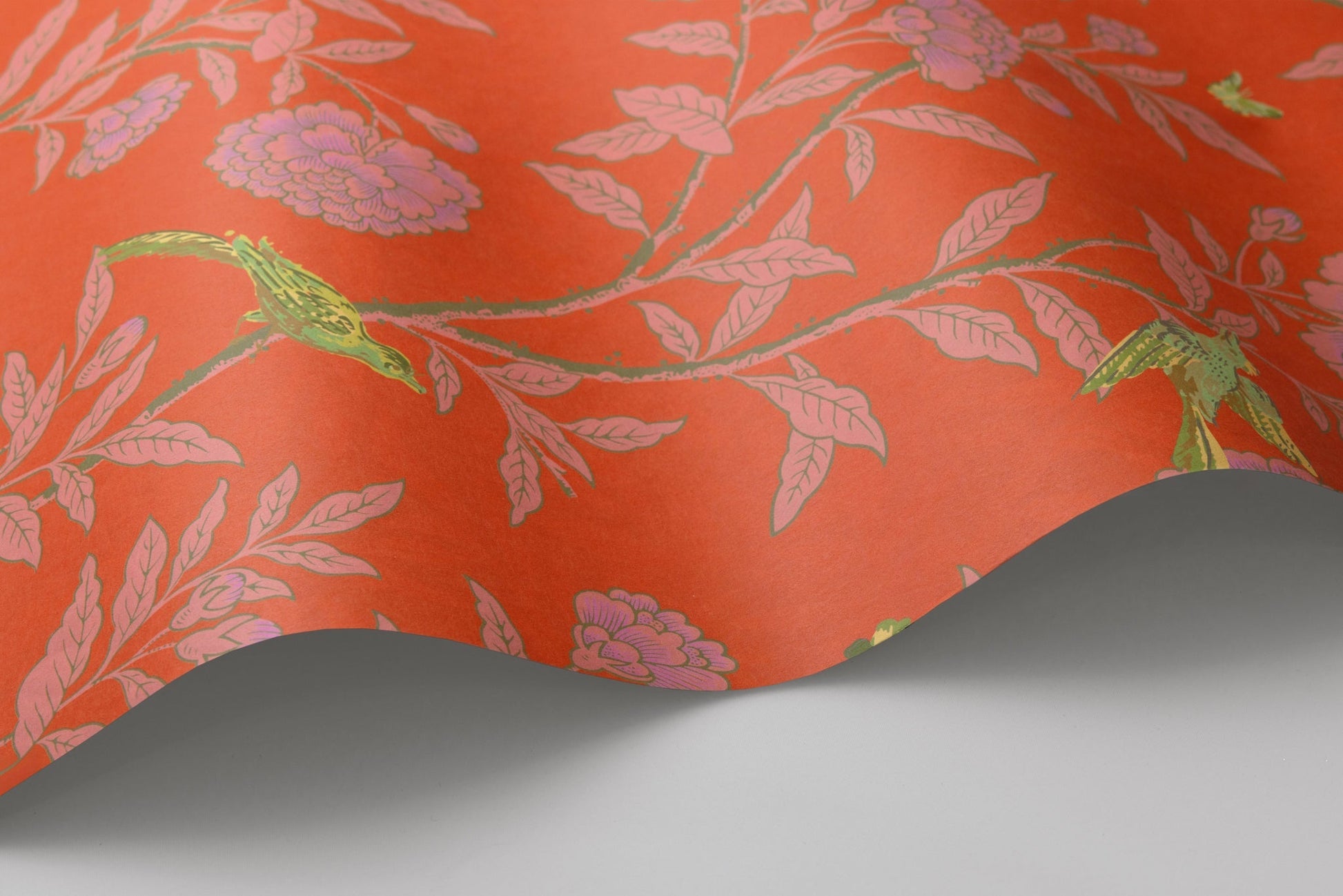 Cole & Son Roseberry with Birds - interior